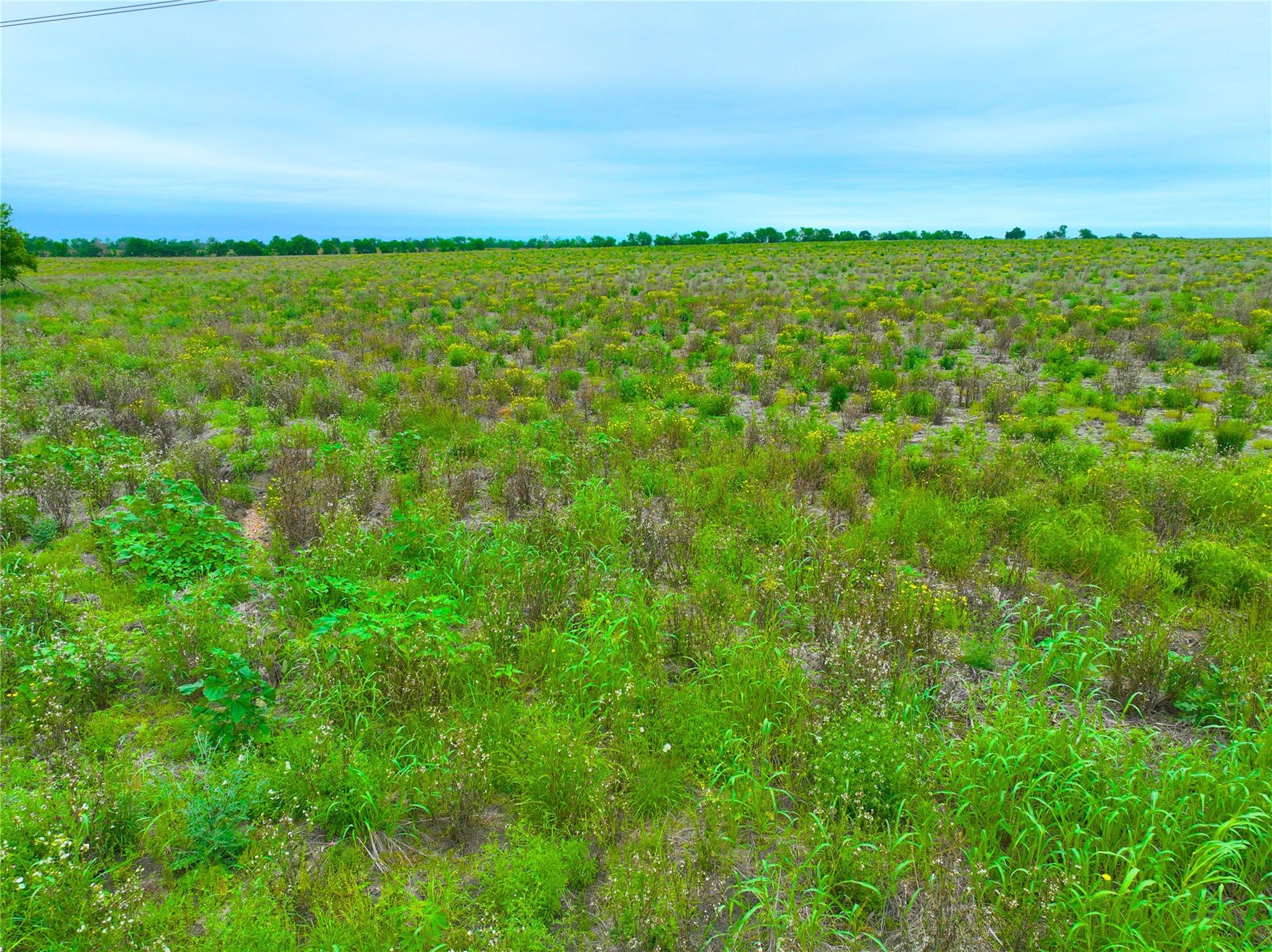 TBD Lot 7, Blk 1 132 RD — photo 4