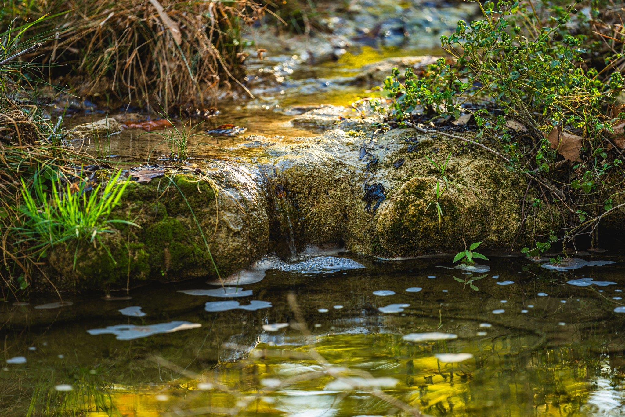 TBD FM-2843 — photo 3