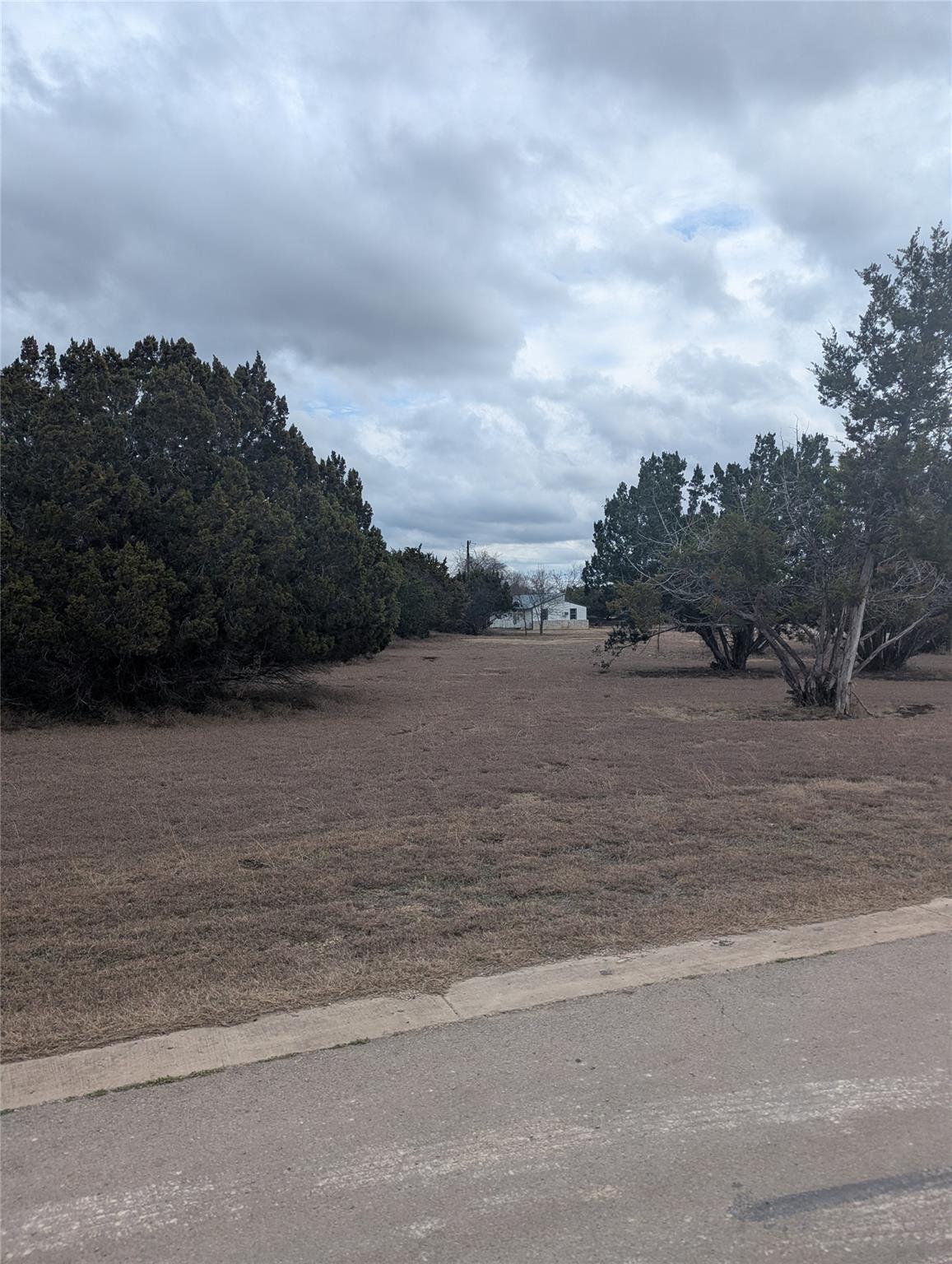 111 Rose DR — photo 4