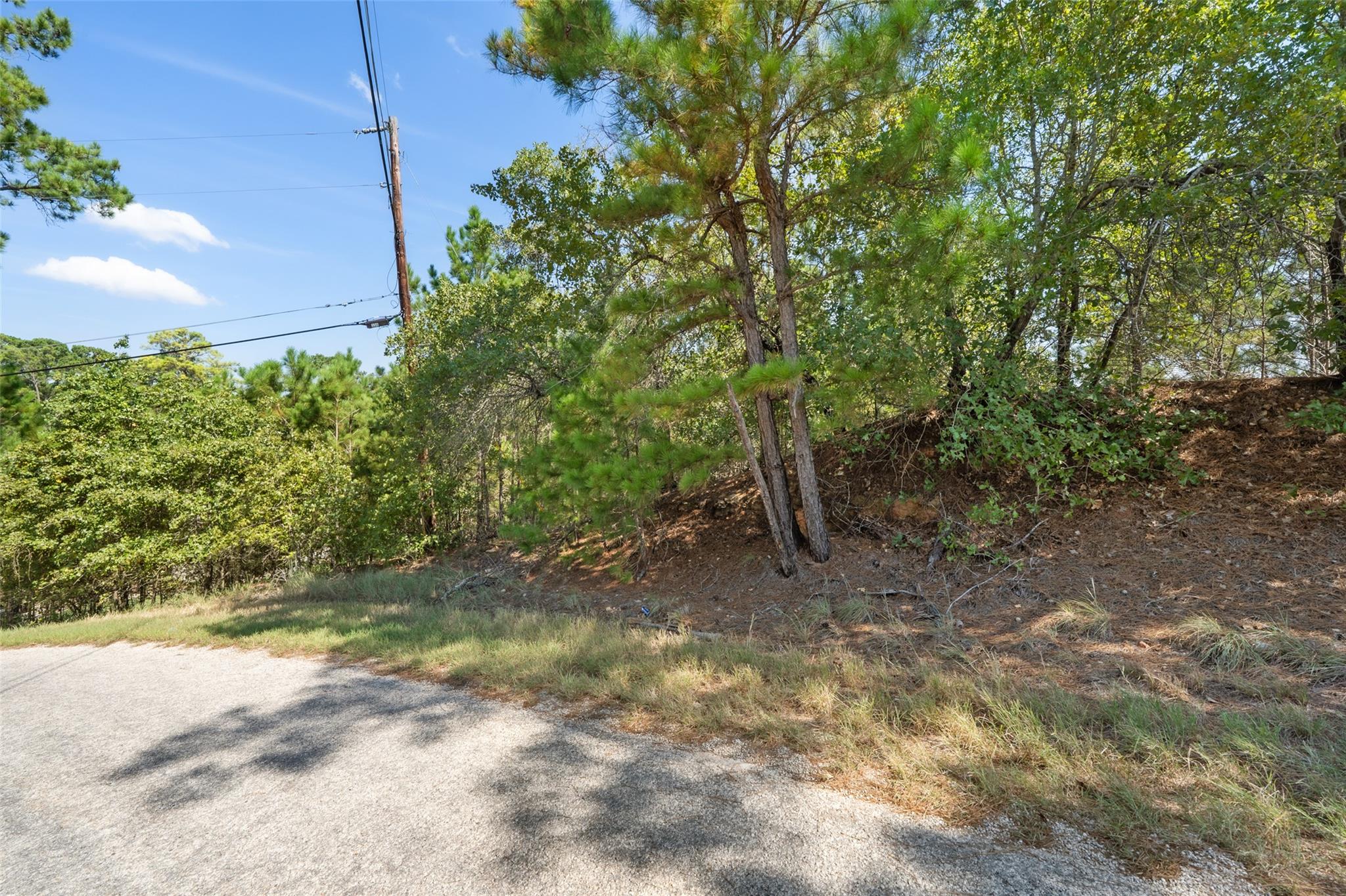TBD 847 Mamalu DR — photo 4