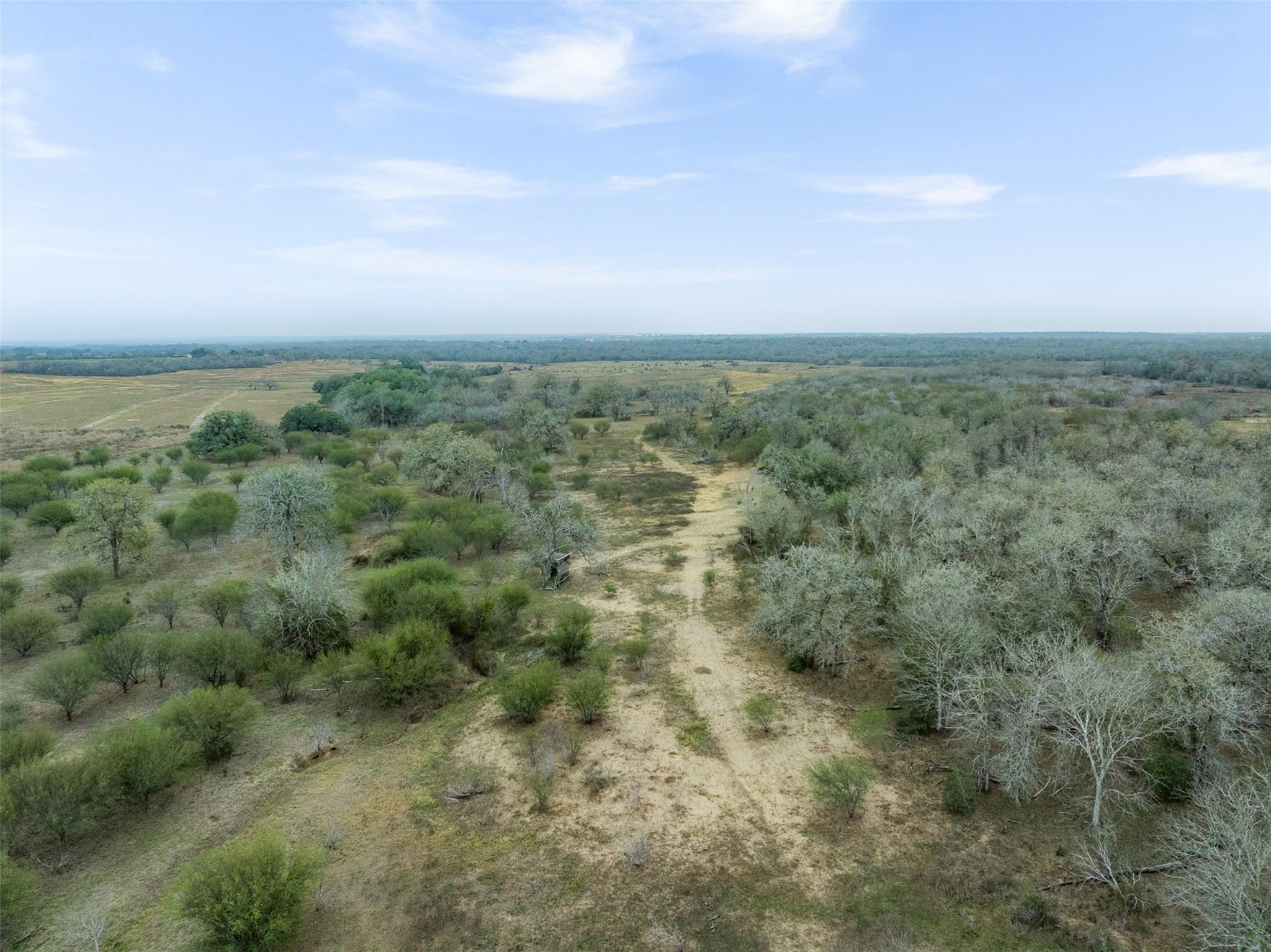 4025 County Road 284 — photo 5