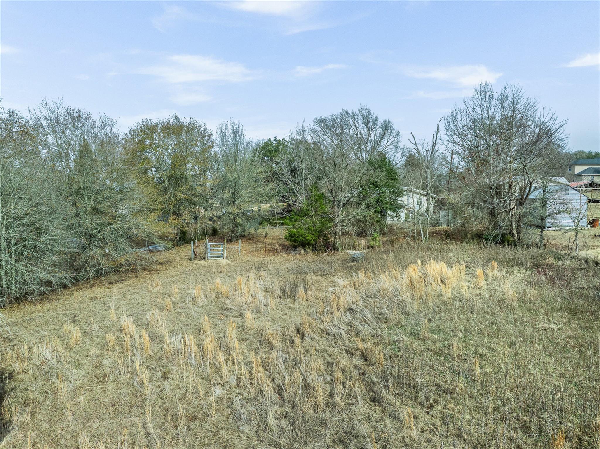 7155 County Road 144 — photo 4