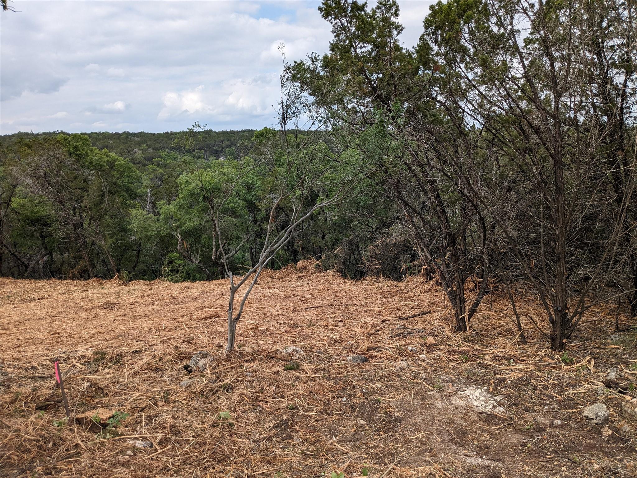 20702 Ramrod TRL — photo 4