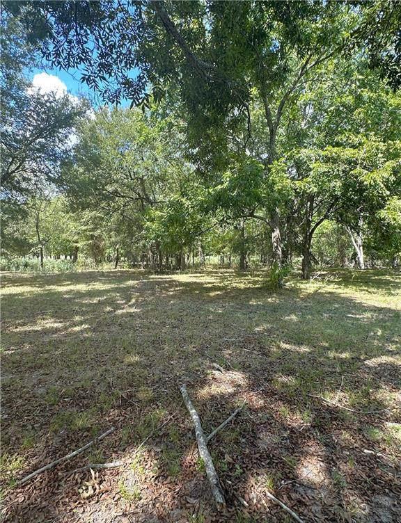 853 County Road 206 — photo 4