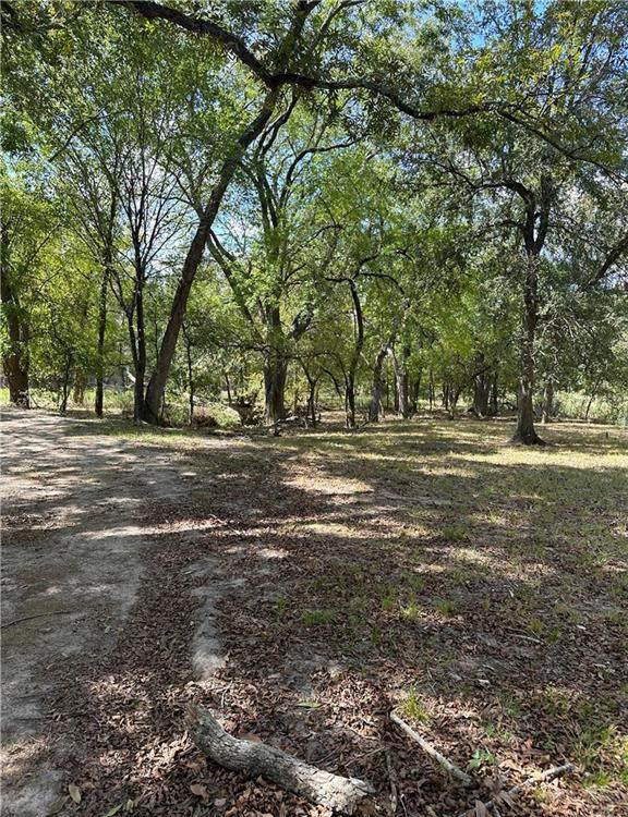 853 County Road 206 — photo 5