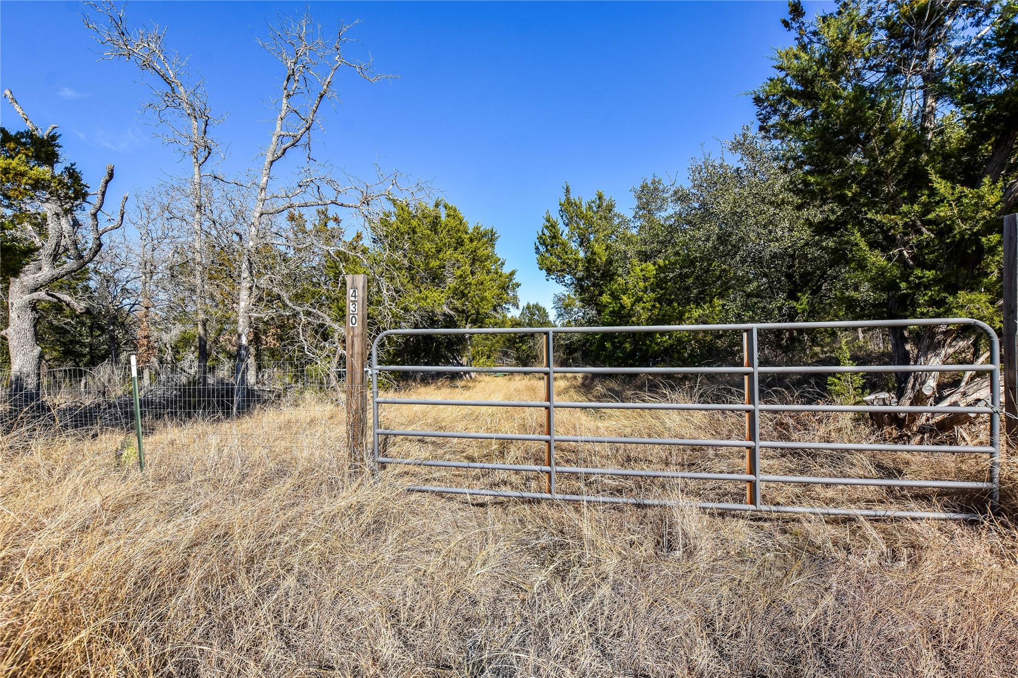 430 County Road 220 — photo 4