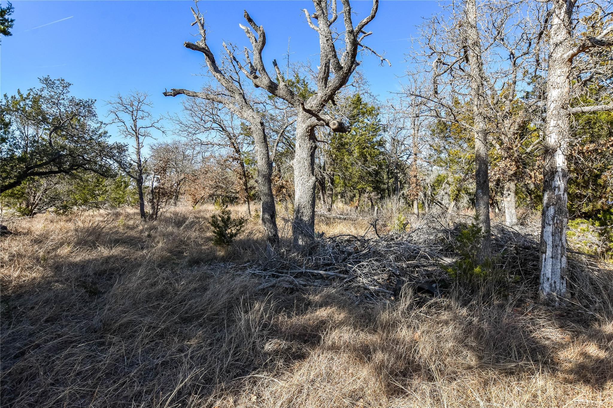 430 County Road 220 — photo 5