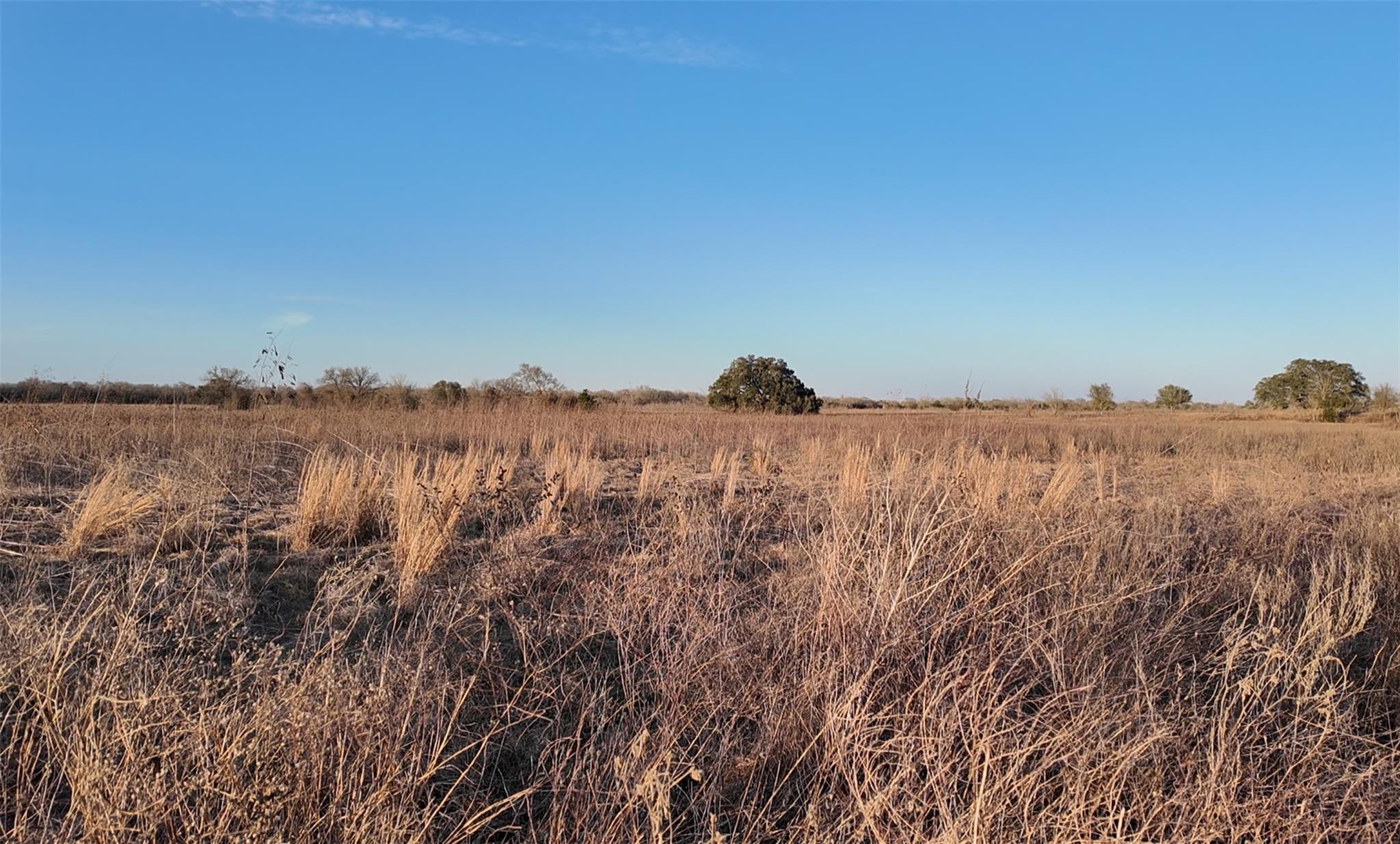 TBD (Tract 5) CR 119