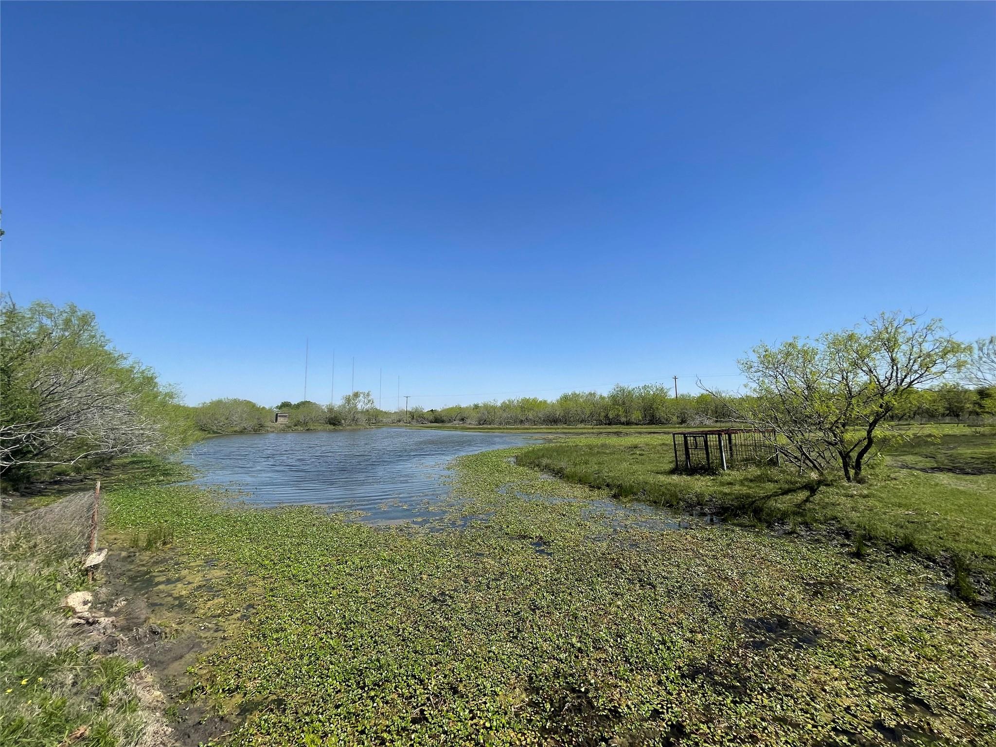 11319 Doyle Overton RD