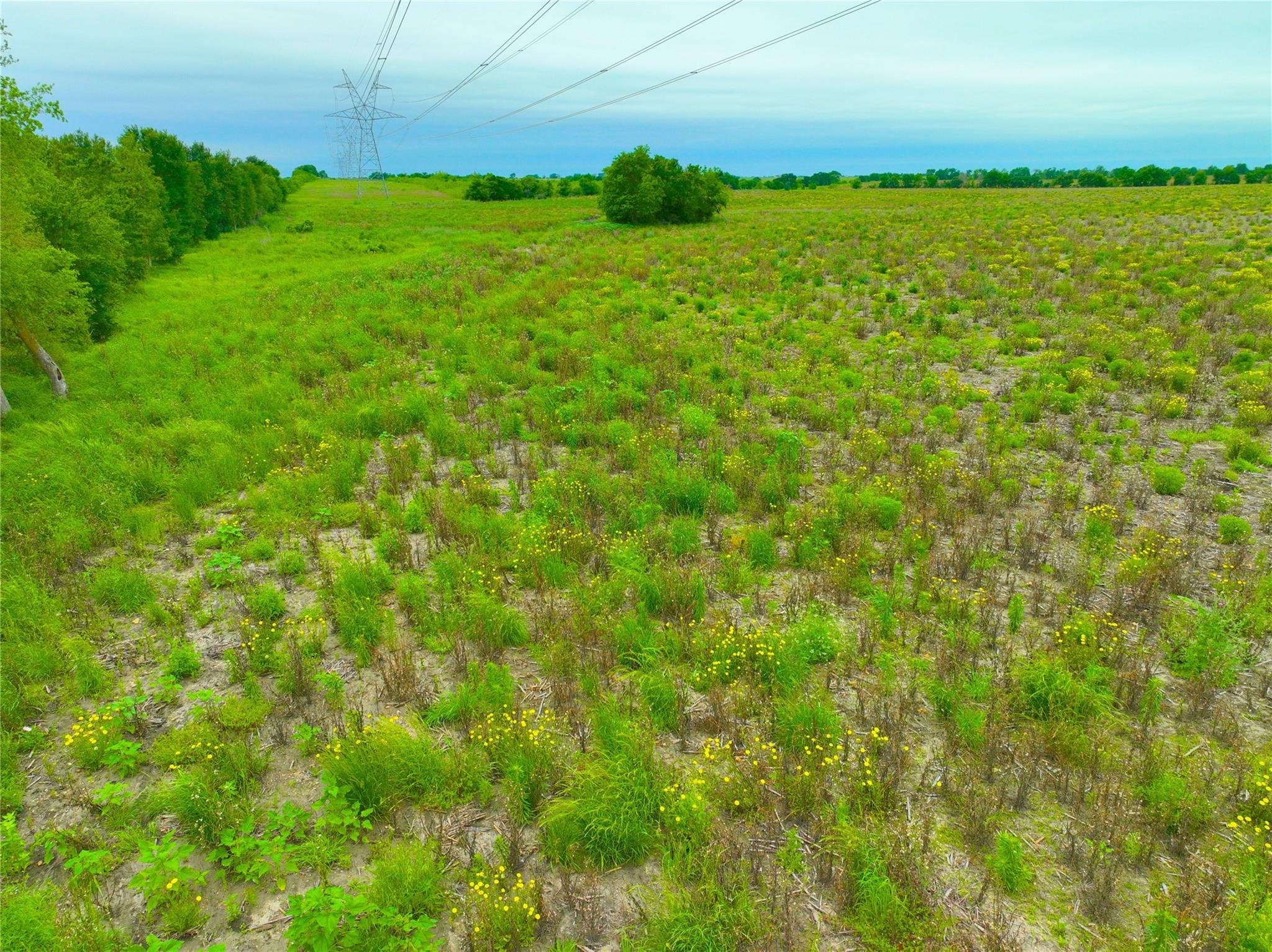 TBD Lot 7, Blk 2 132 RD — photo 5