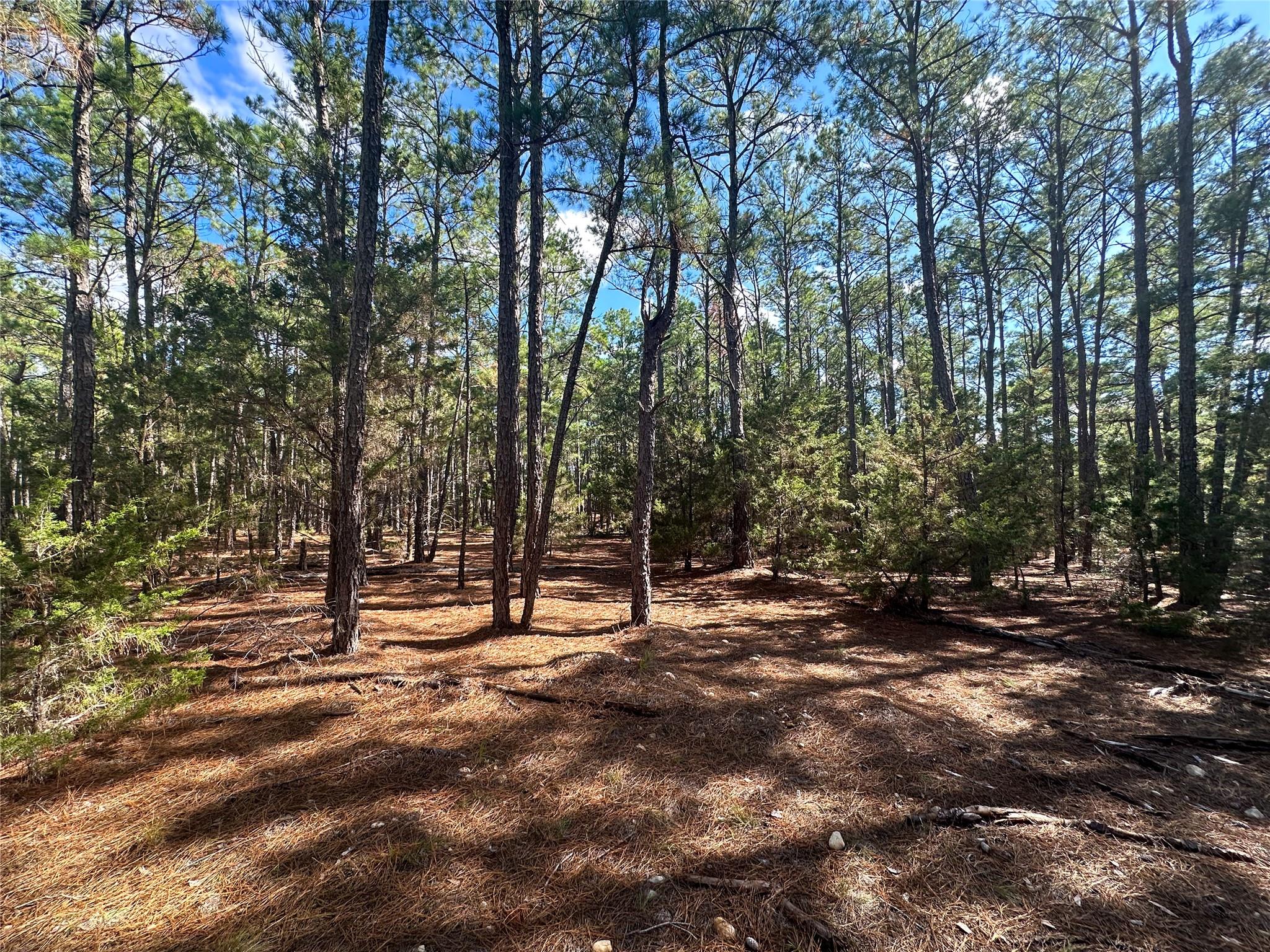 Lot 11 Hickory Ridge DR — photo 3