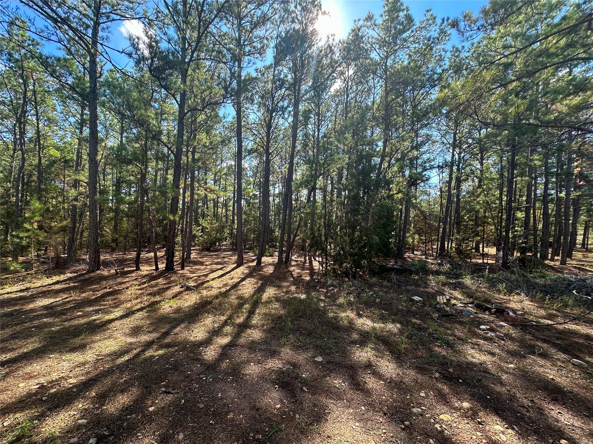 Lot 11 Hickory Ridge DR — photo 4
