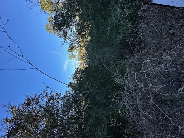 0 TBD Kula CT — photo 3
