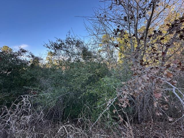0 TBD Kula CT — photo 4