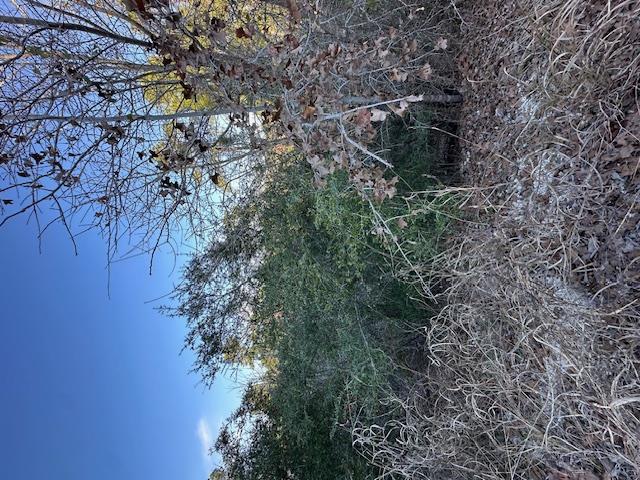 0 TBD Kula CT — photo 5