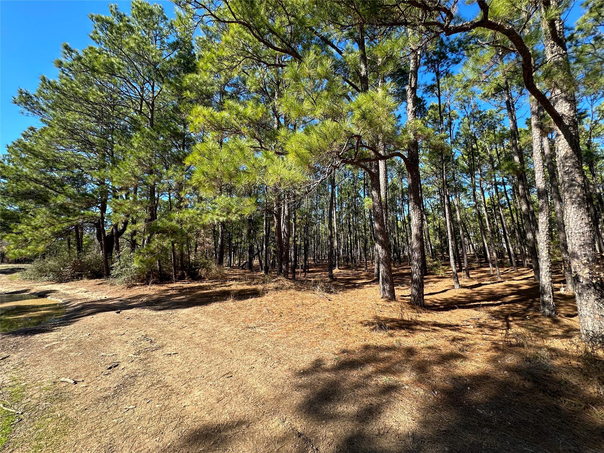 Lot 12 Hickory Ridge DR — photo 3