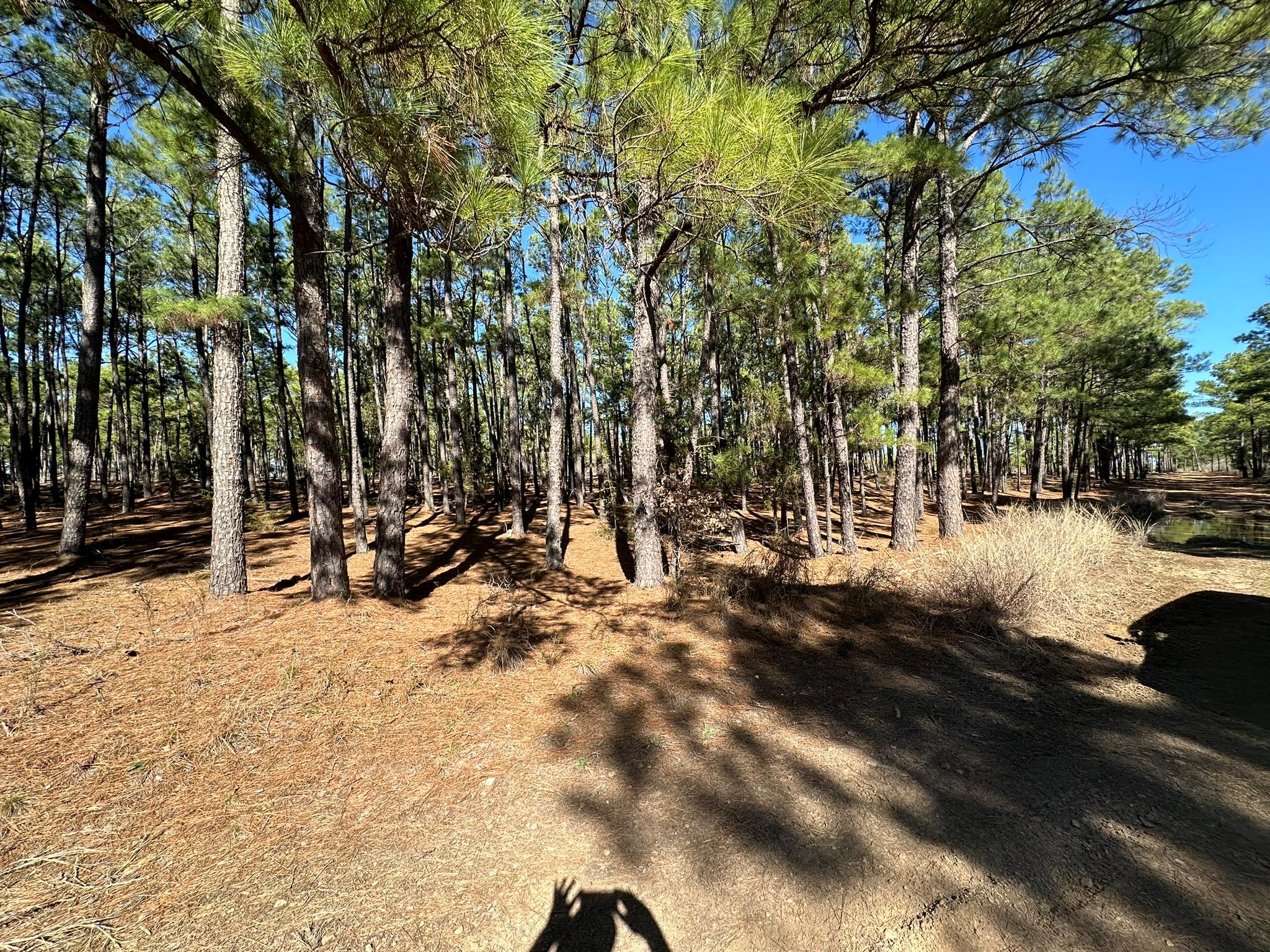 Lot 12 Hickory Ridge DR — photo 4