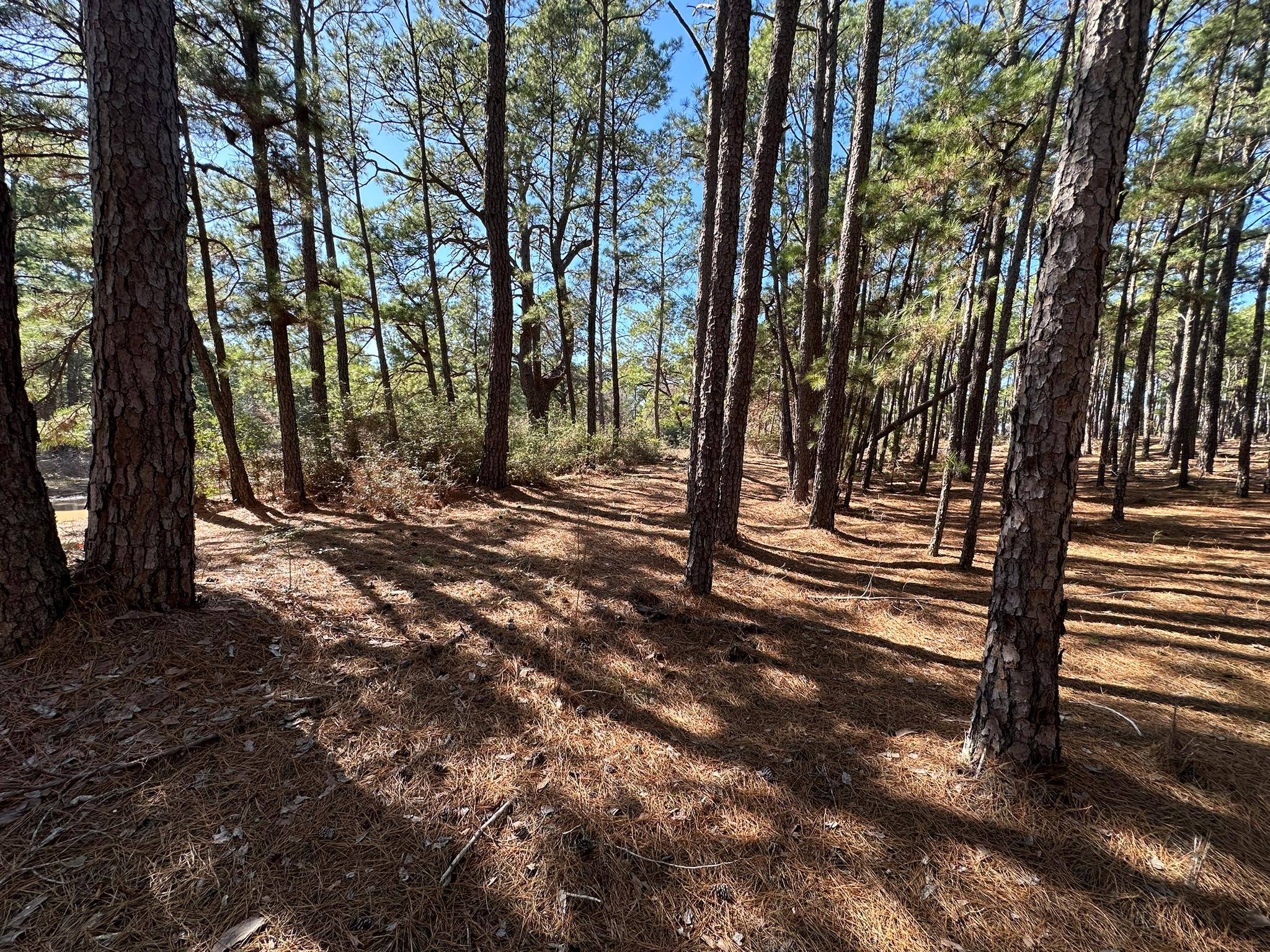 Lot 12 Hickory Ridge DR — photo 5