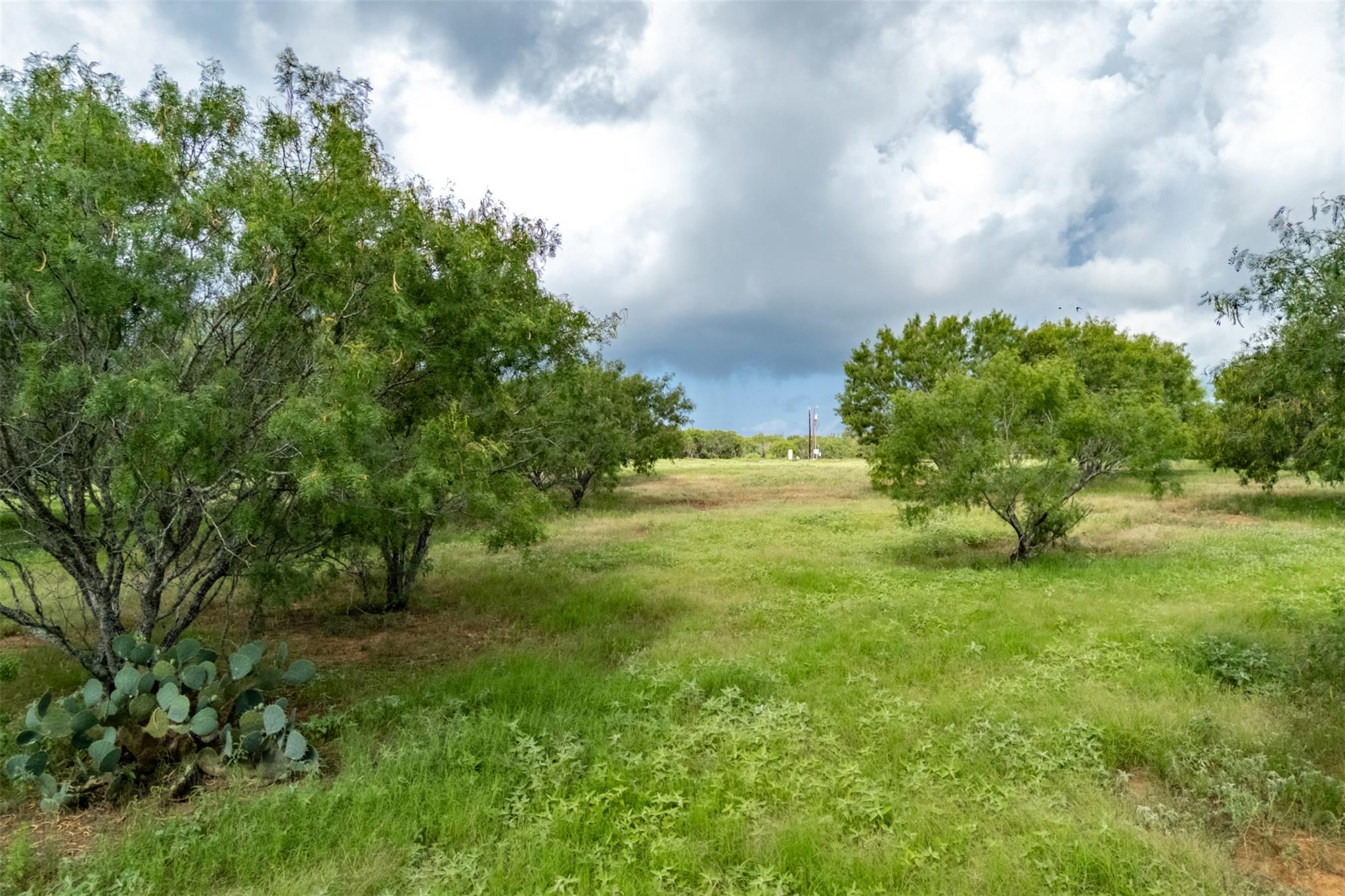 5485 County Road 249 WAY — photo 4
