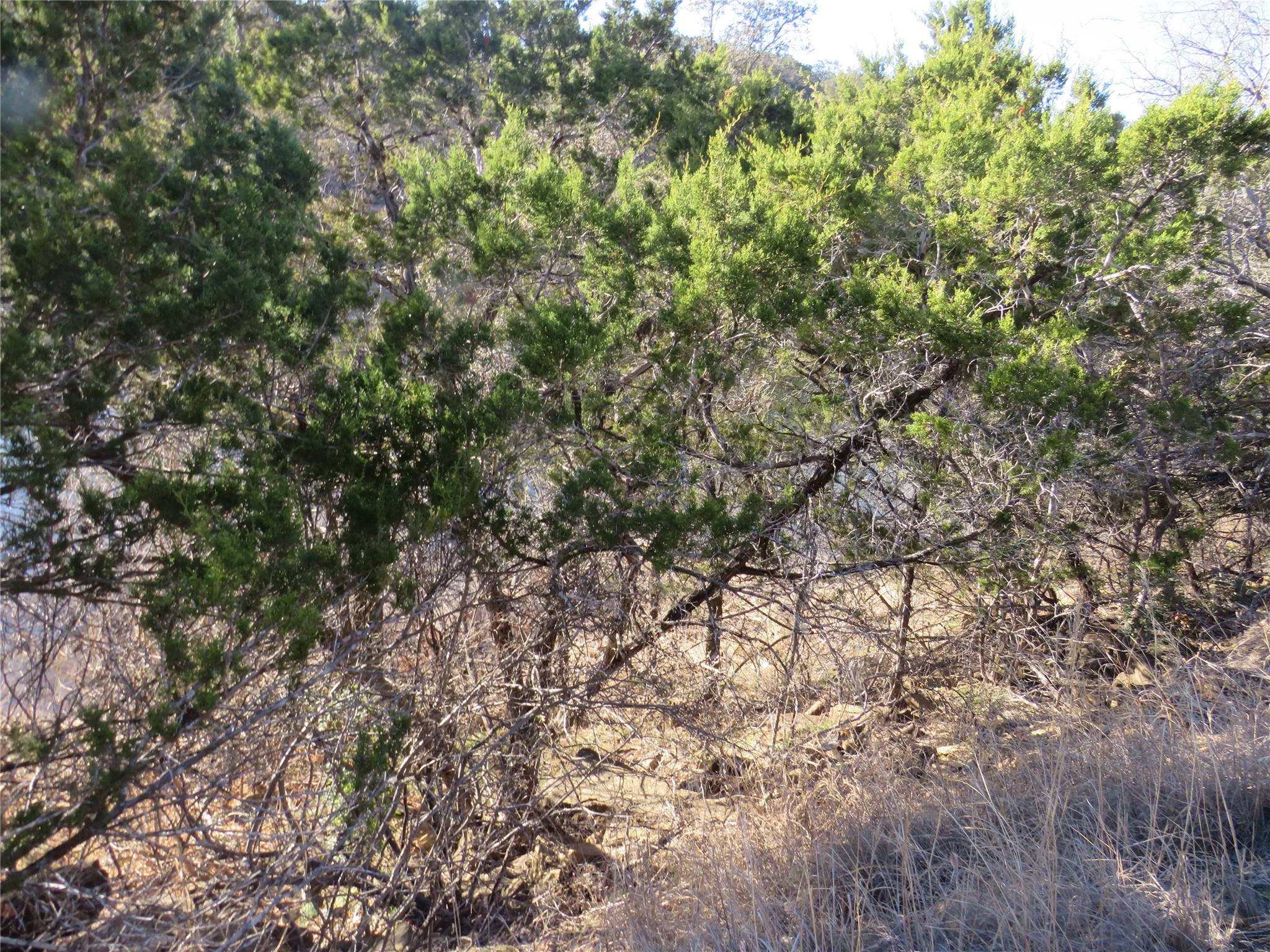 TBD LOT 25 SUNSET CLIFF RD — photo 3