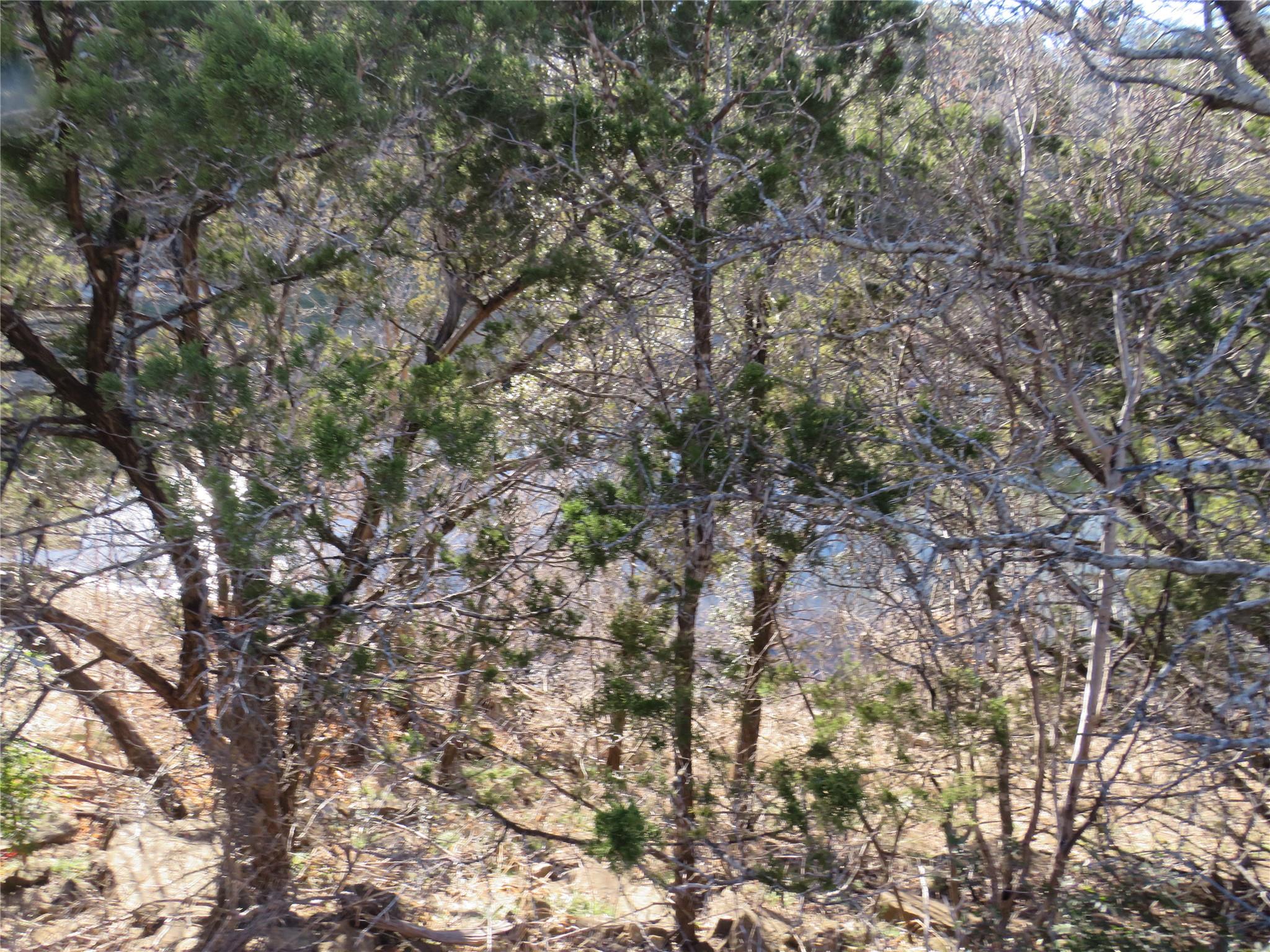 TBD LOT 25 SUNSET CLIFF RD — photo 4
