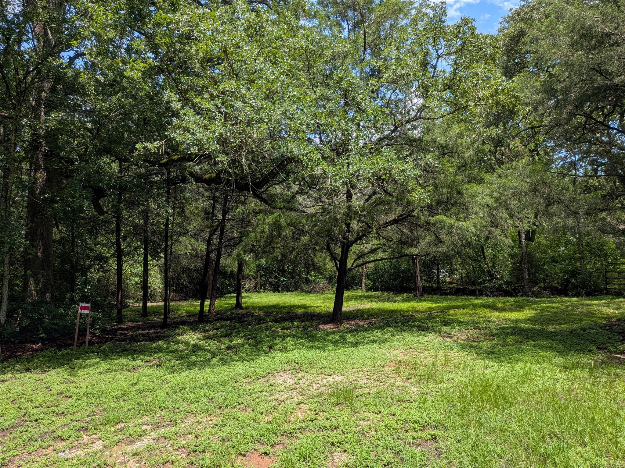 9278 Highway 77 Highway — photo 4
