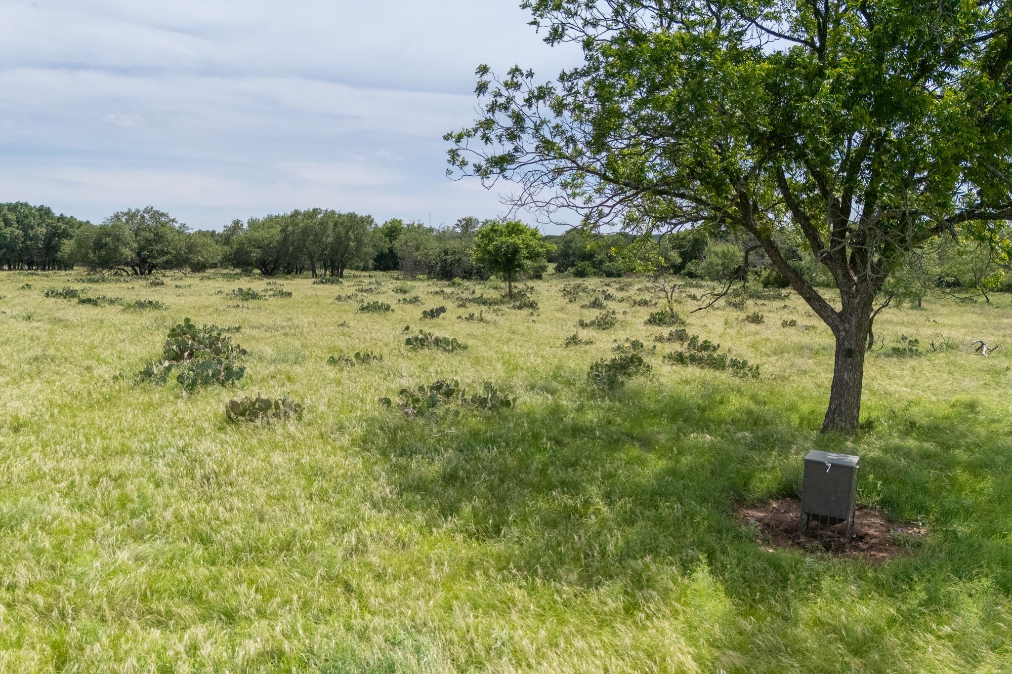 Lot 6 Cattle TRL — photo 5