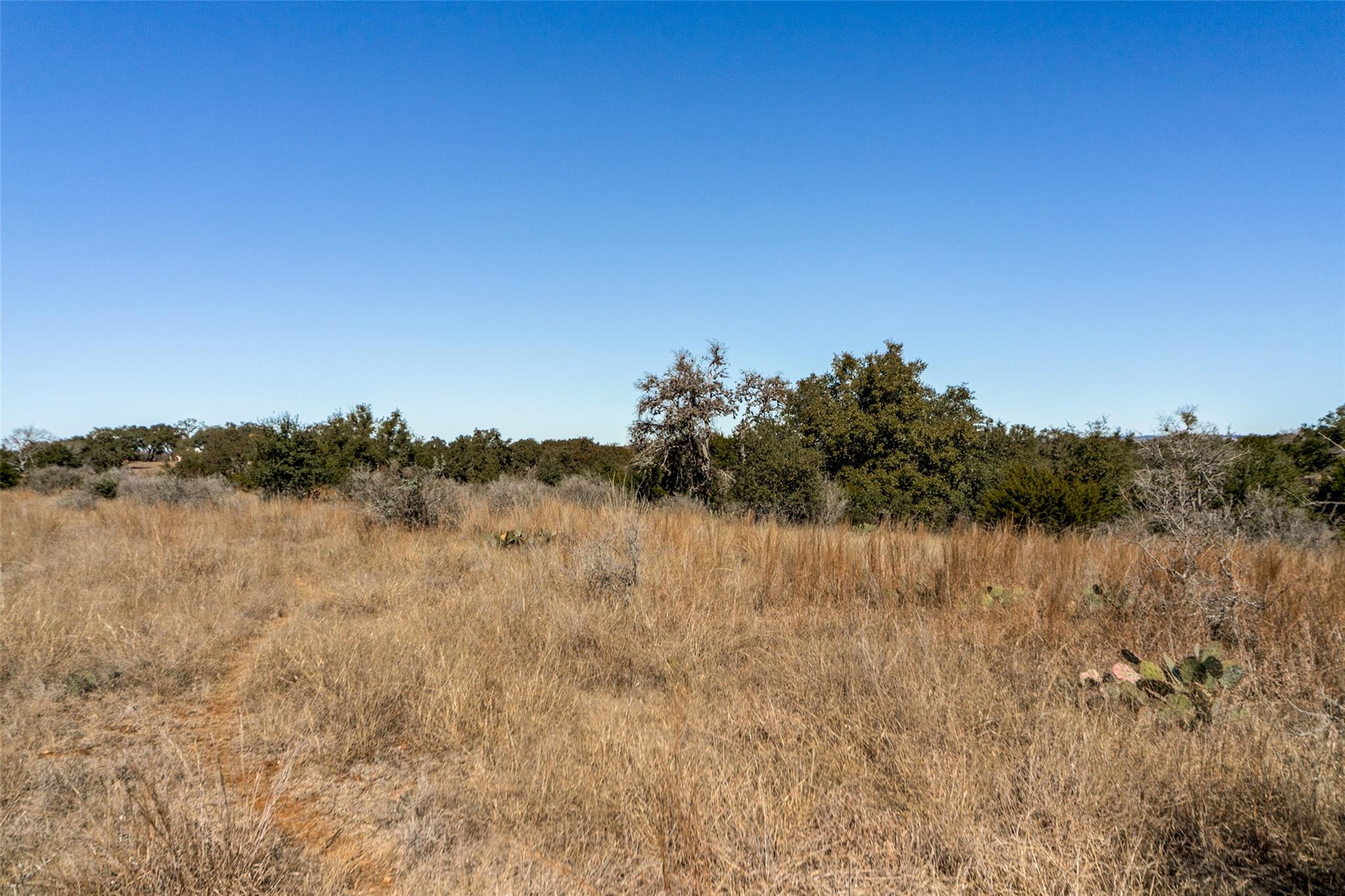 Lot 85 Palomino Springs — photo 3