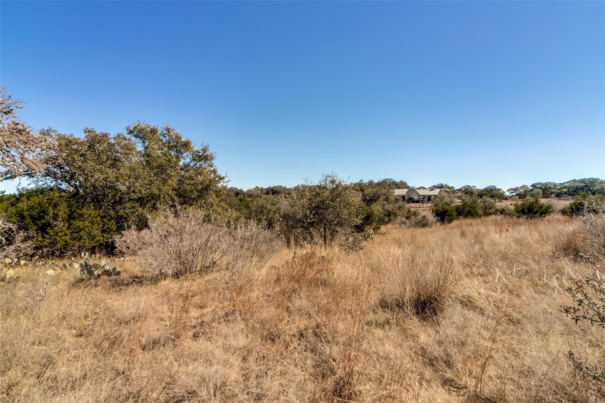Lot 85 Palomino Springs — photo 4