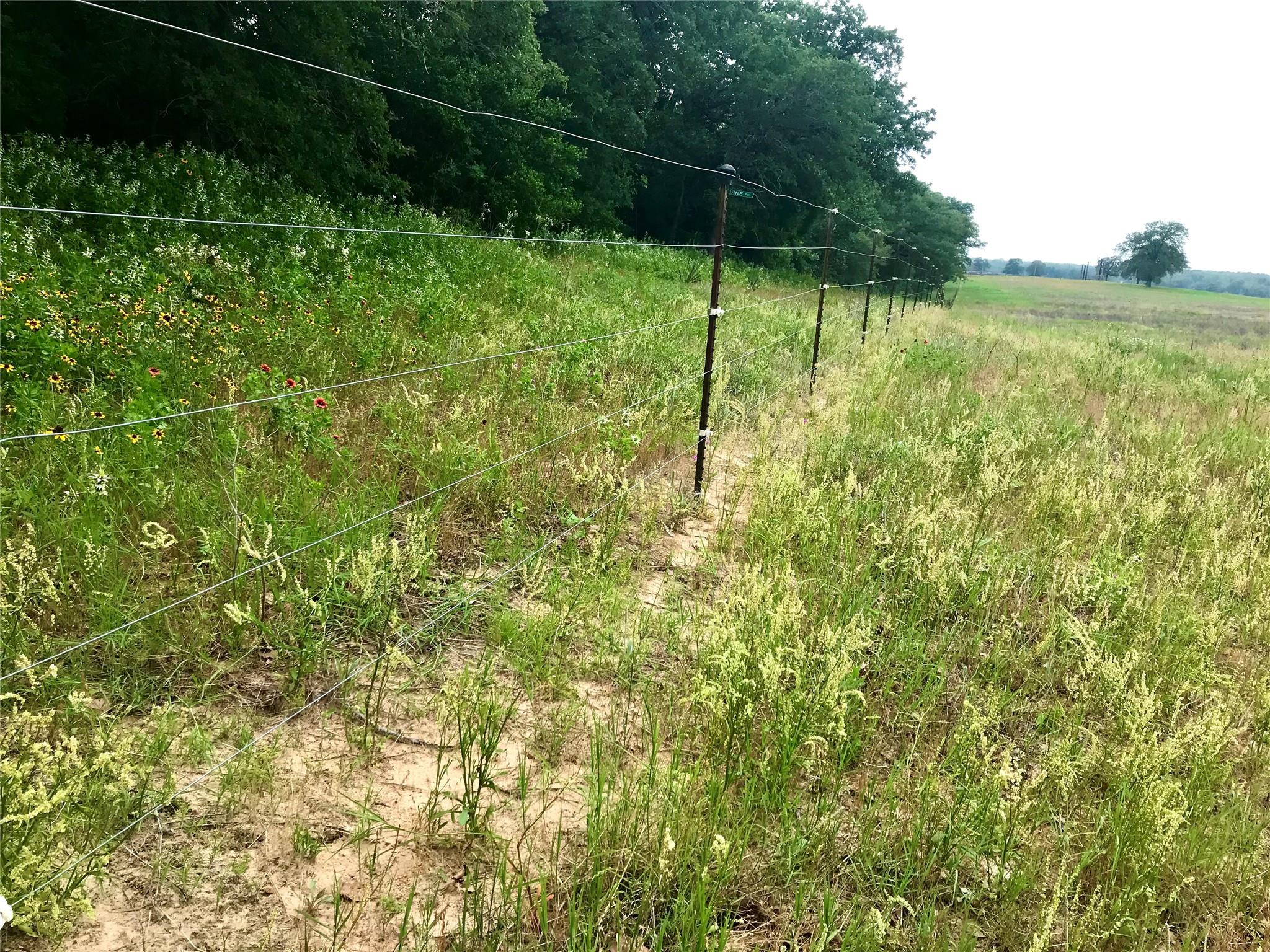 1672 Sayers RD #Tract 1 — photo 3