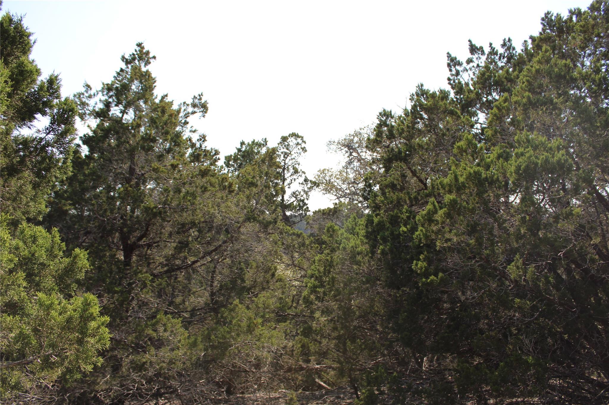 251 Serenity — photo 4