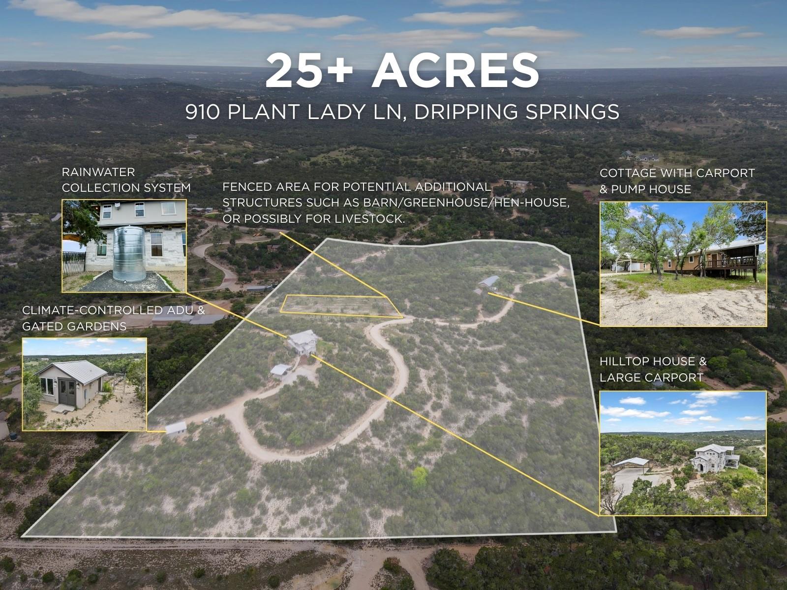 910 Plant Lady LN — photo 3