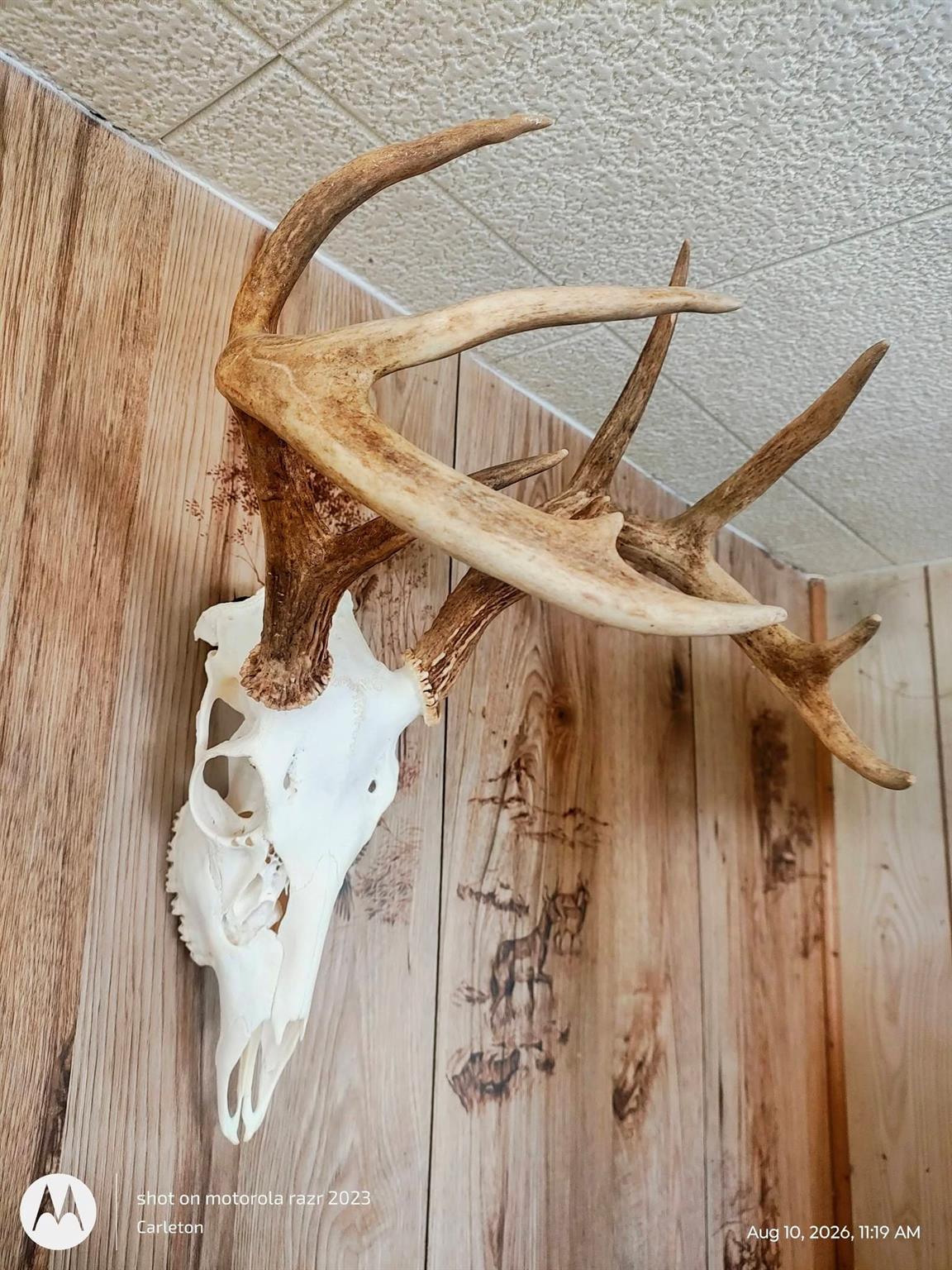567 County Road 241 — photo 3