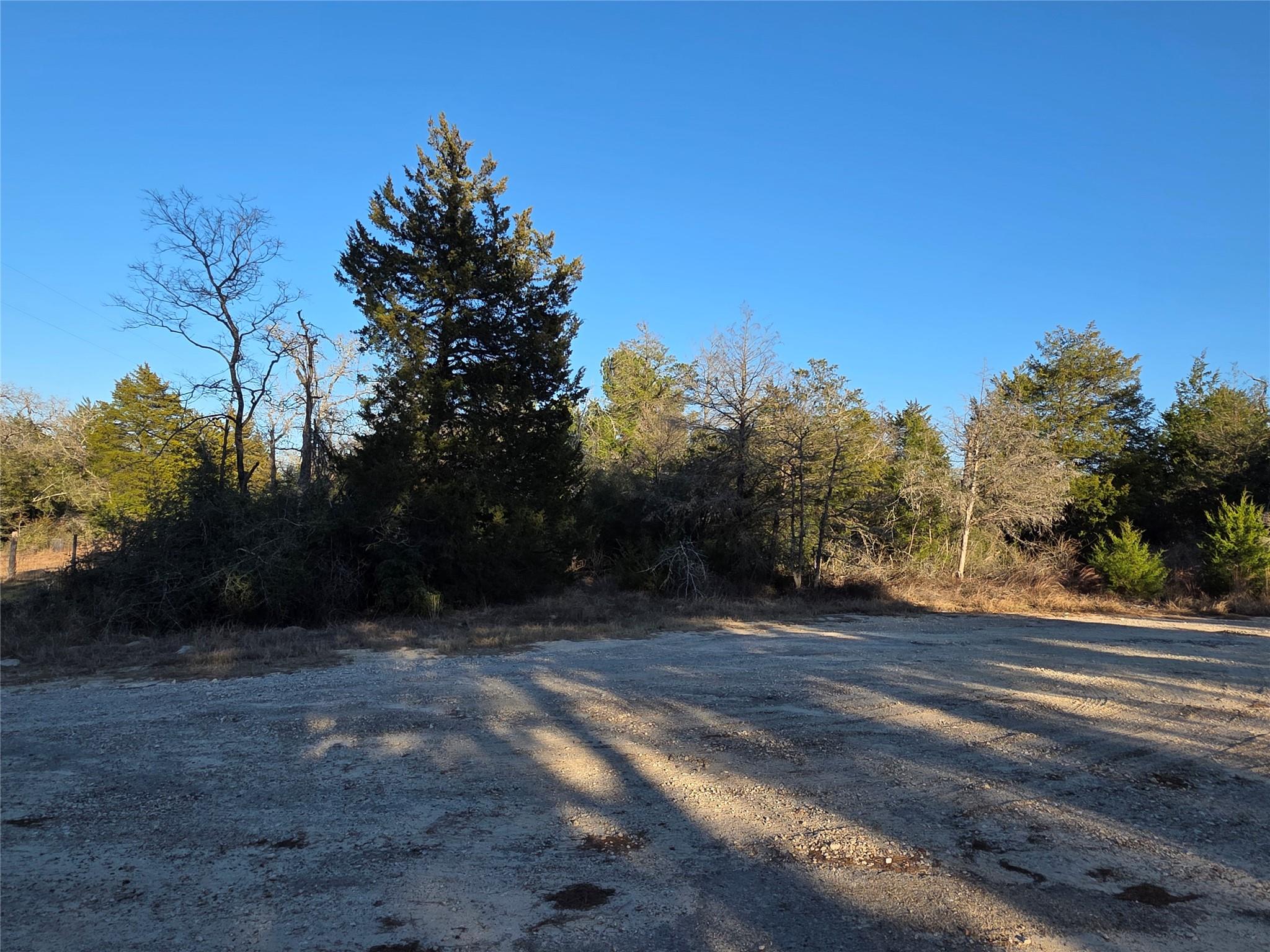 1241 Scenic VW — photo 3