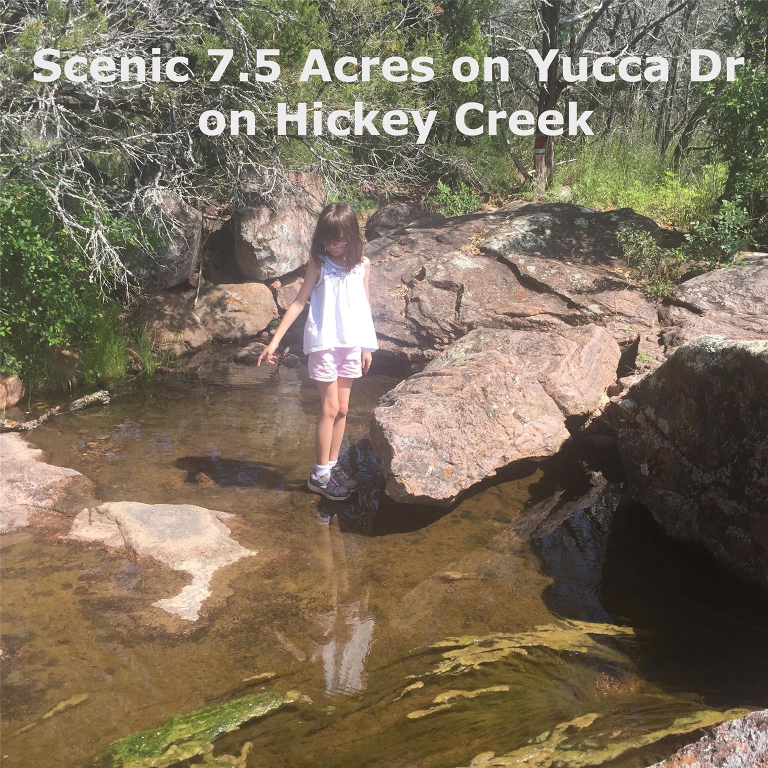 221 Yucca and adjoining lot DR — photo 4