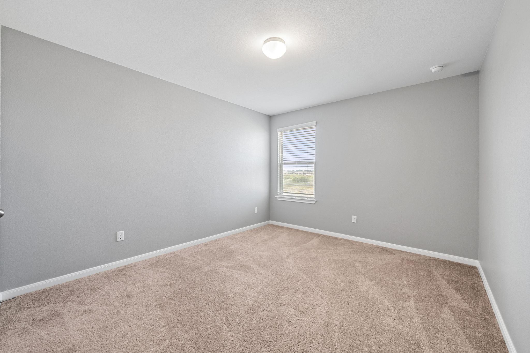 436 Spinnaker LOOP — photo 5