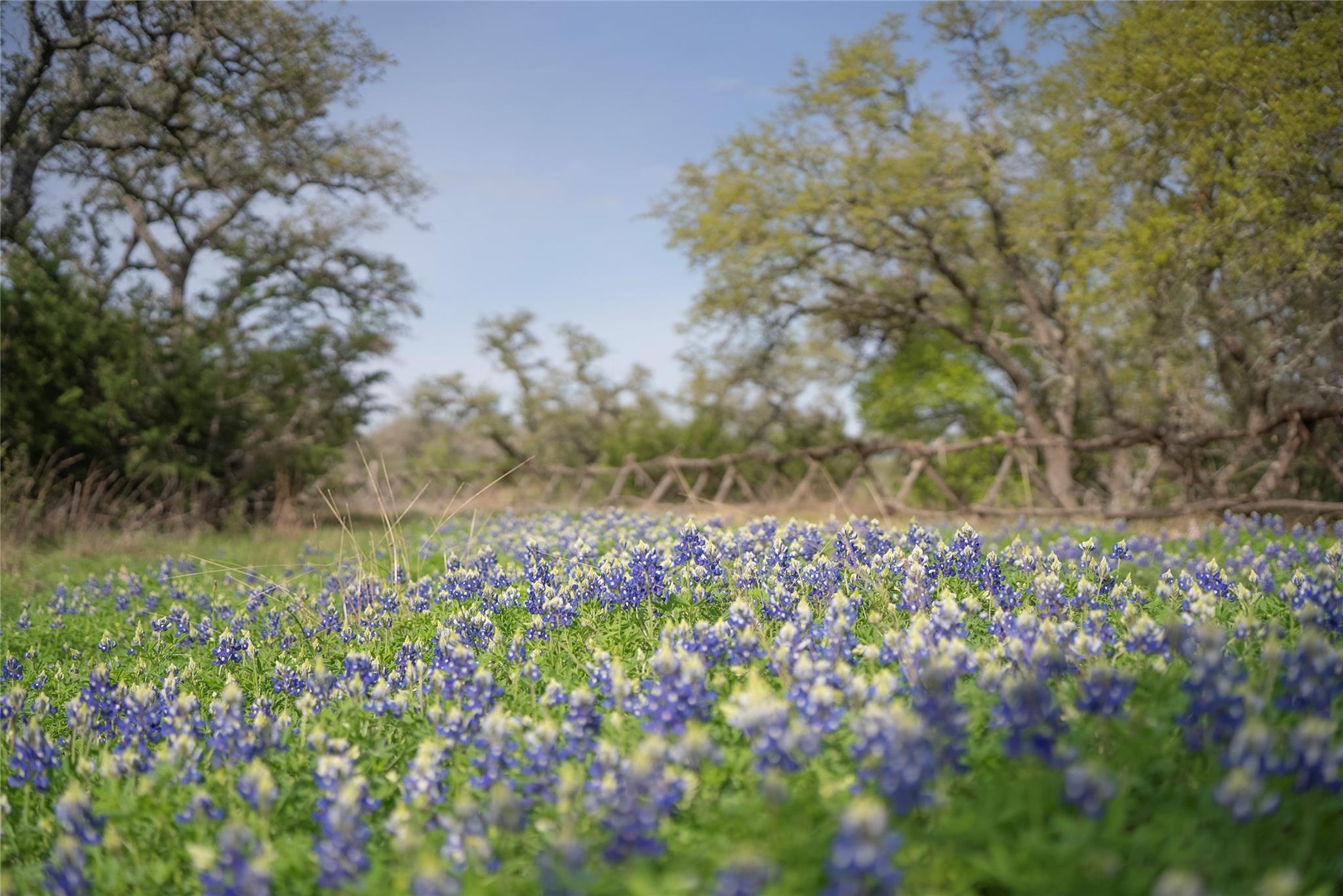 TBD Bell Springs RD — photo 3