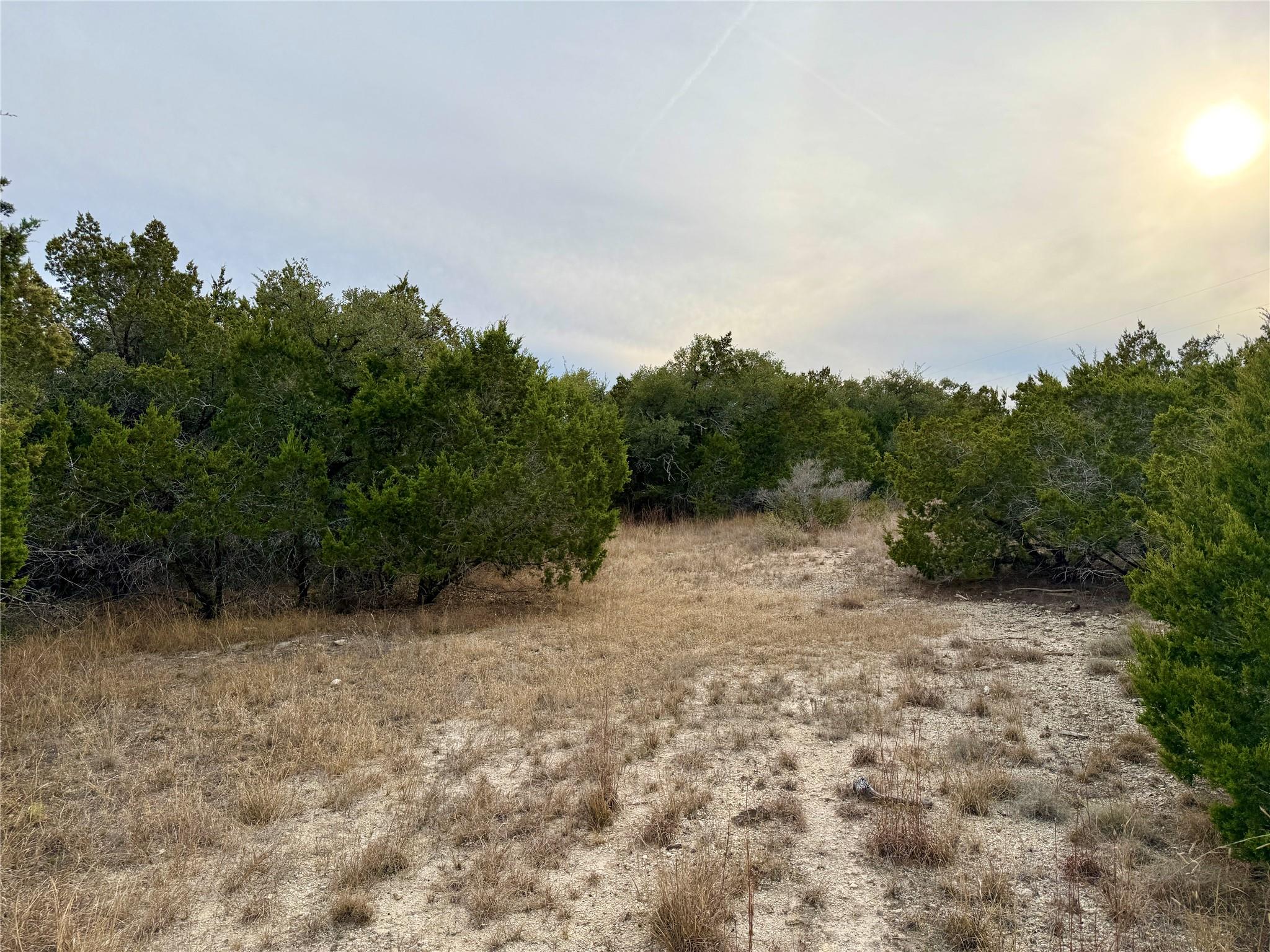 557 Abodar TRL — photo 4