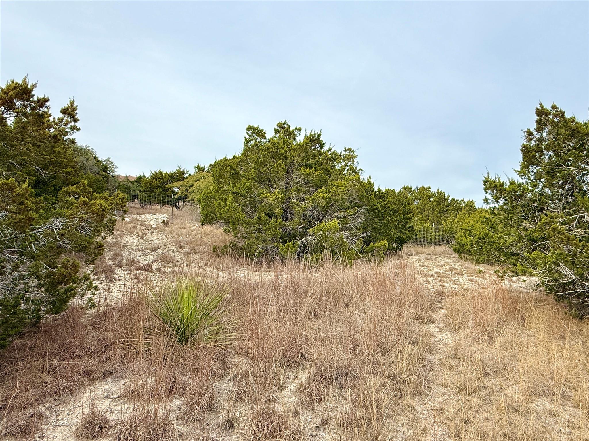 557 Abodar TRL — photo 5