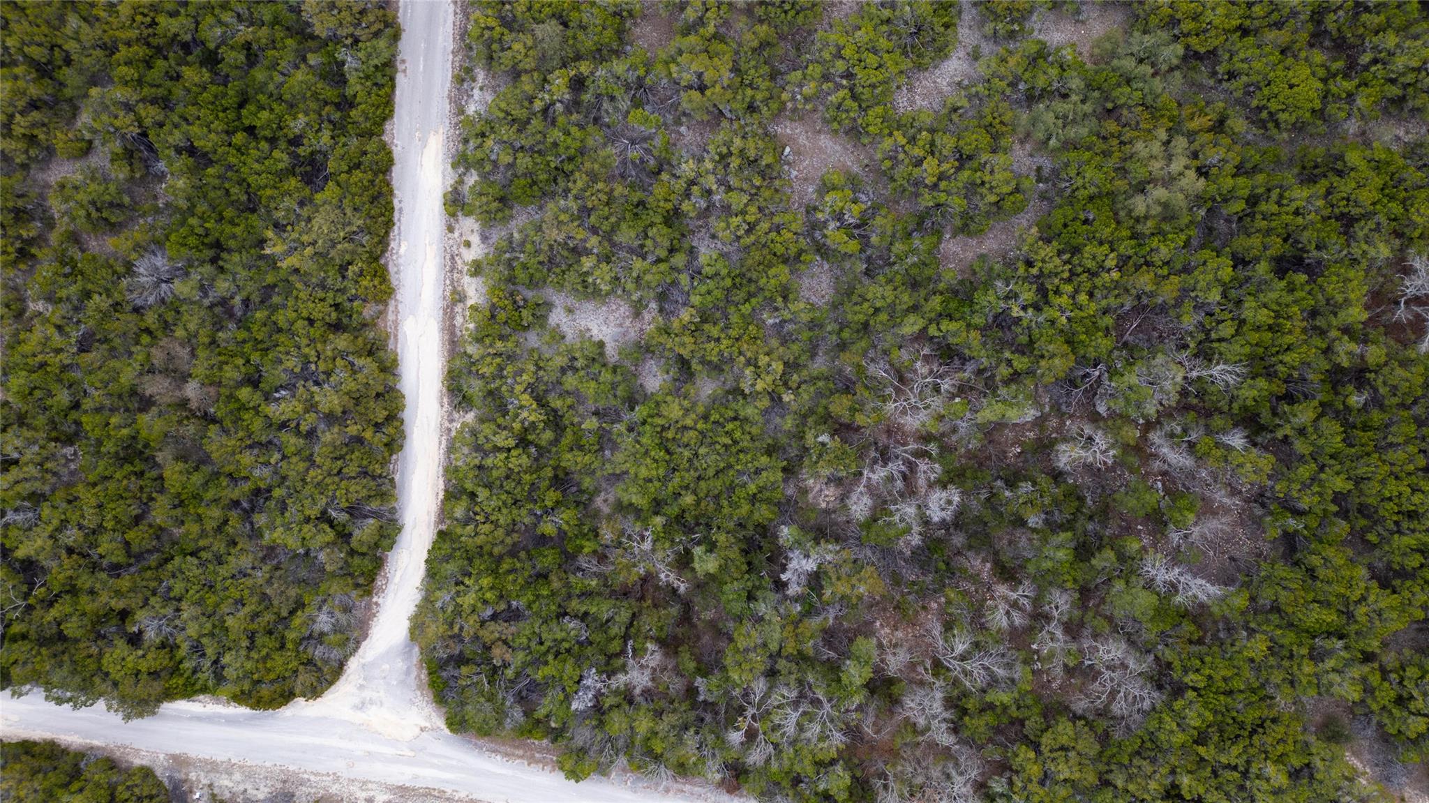 20605 Telegraph PASS — photo 3