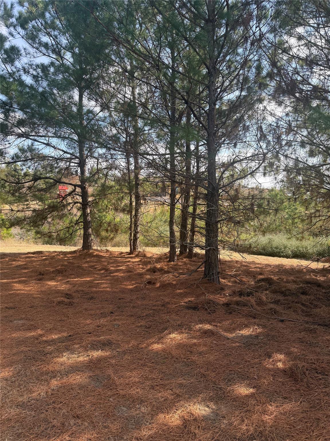 123 Koali DR — photo 5