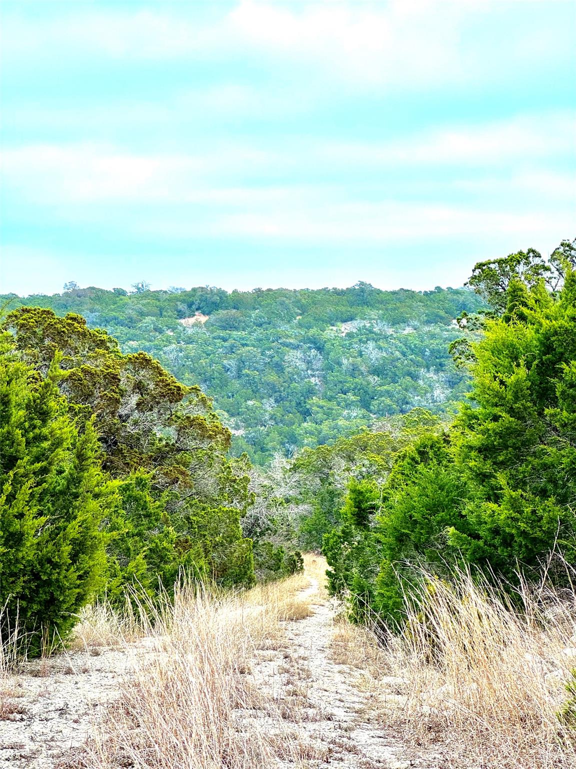 424 Armadillo Trail DR — photo 3