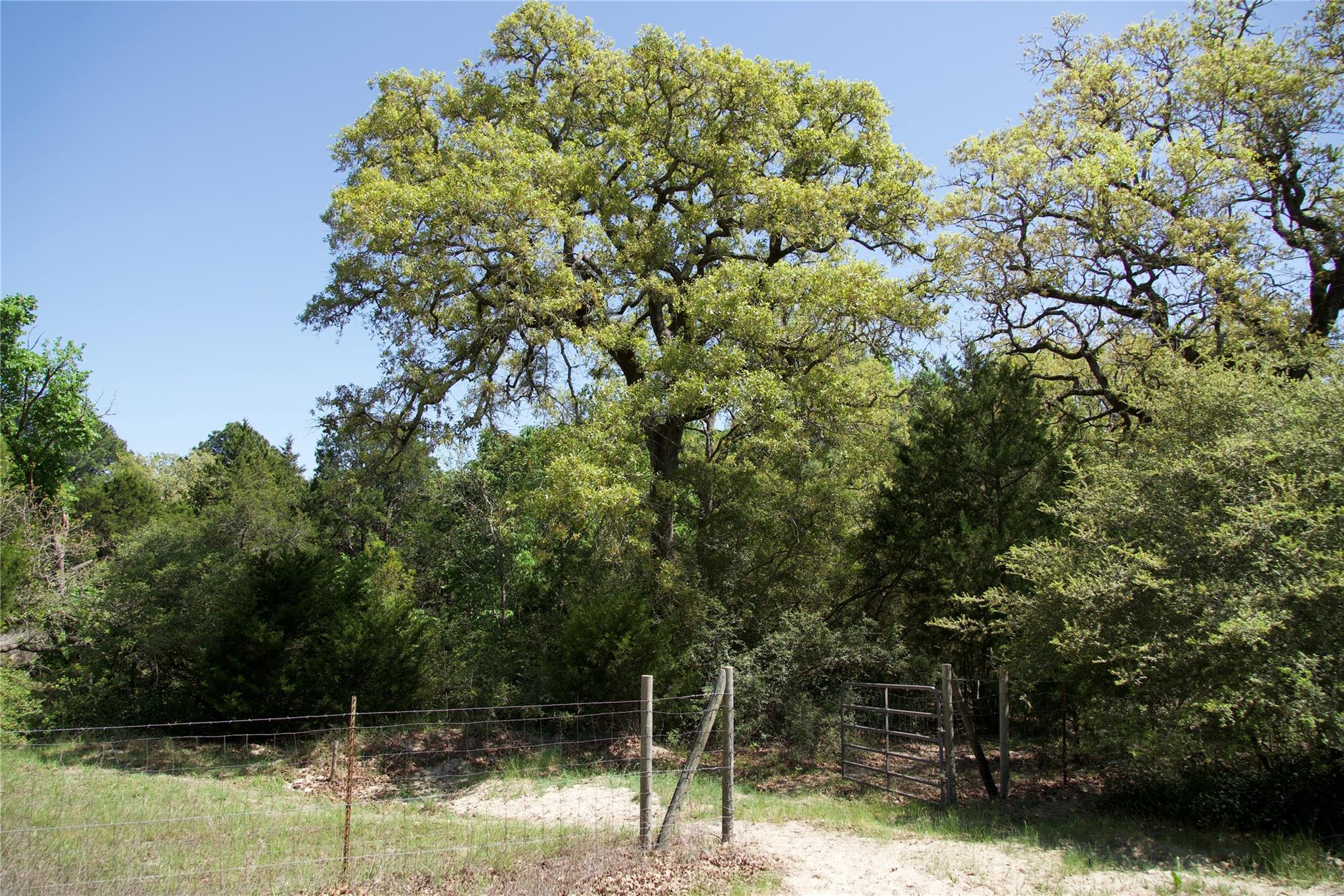 1035 Old Sayers RD — photo 4