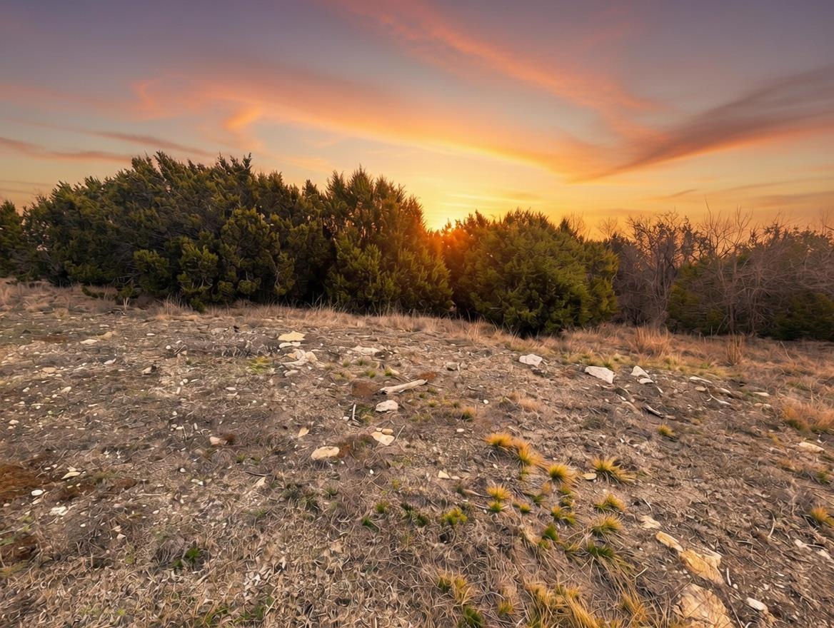 TBD Private Road 16020 — photo 4