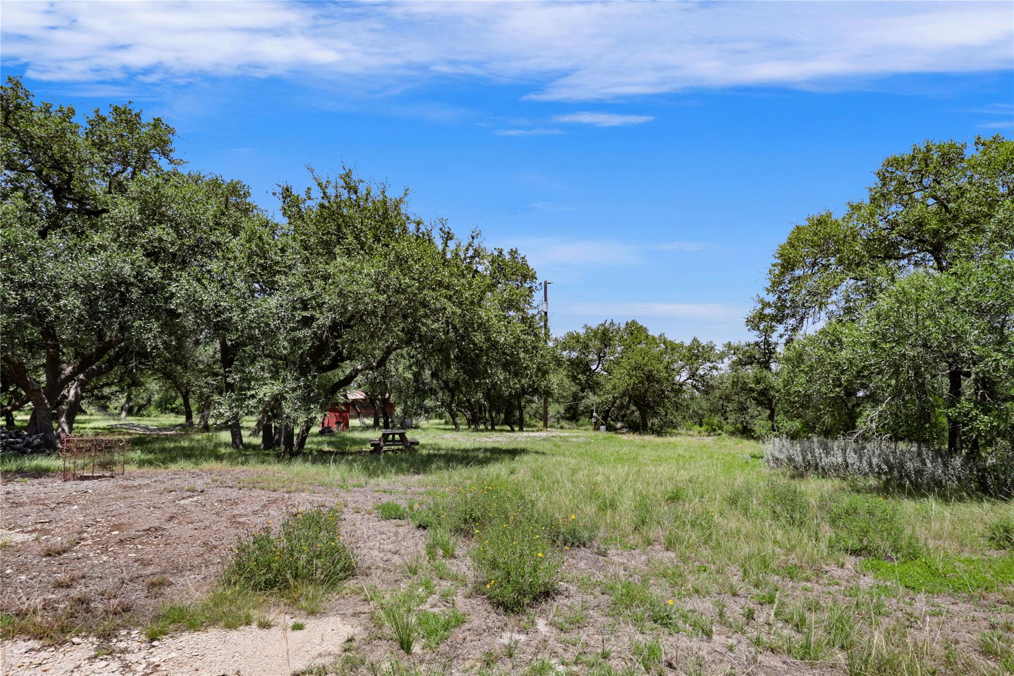 101 Purple Sage — photo 4