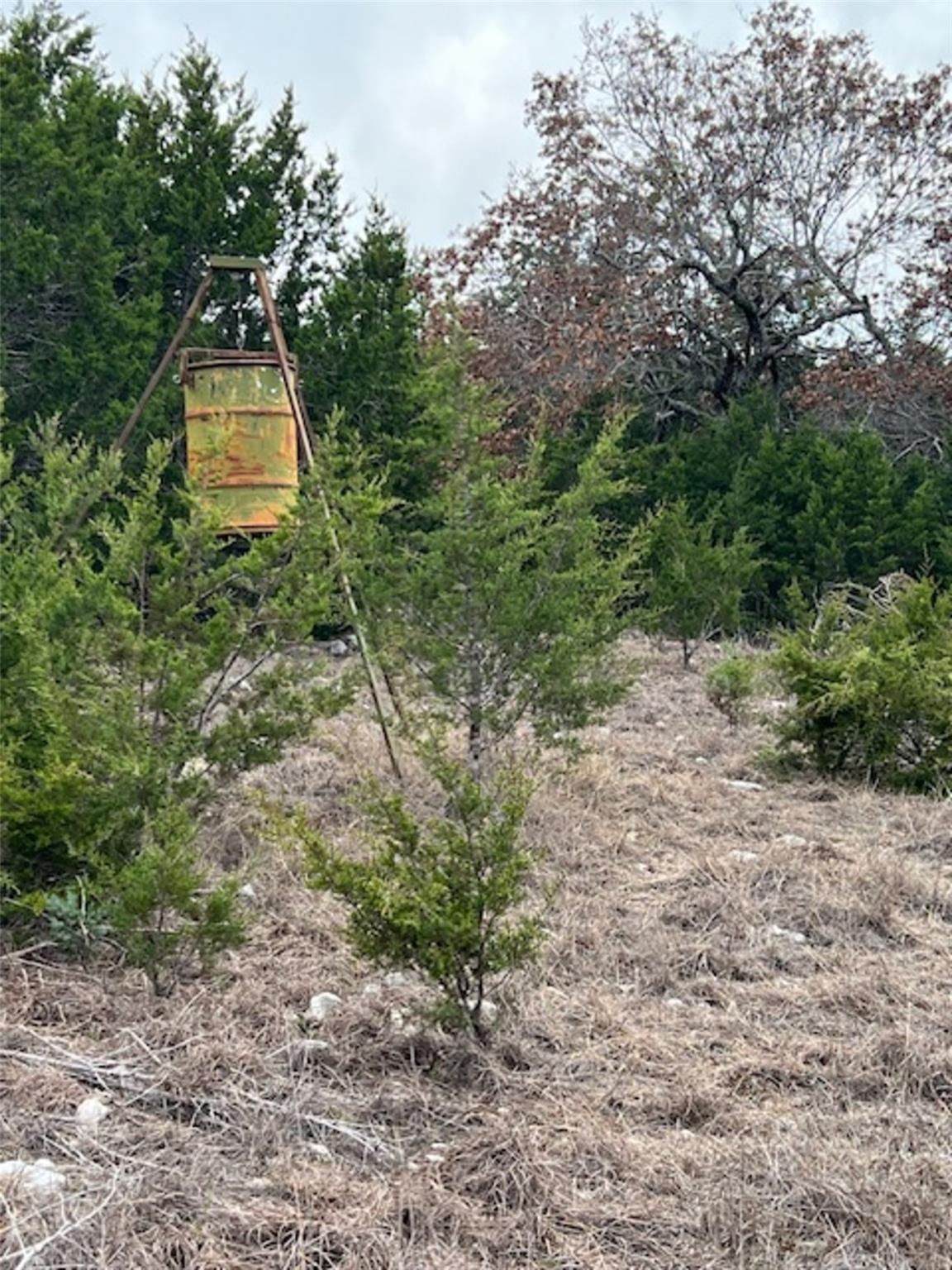 4238 E. FM 581 — photo 5