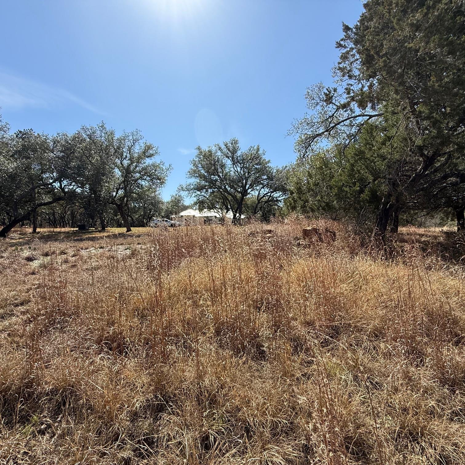 210 Cactus COR — photo 3