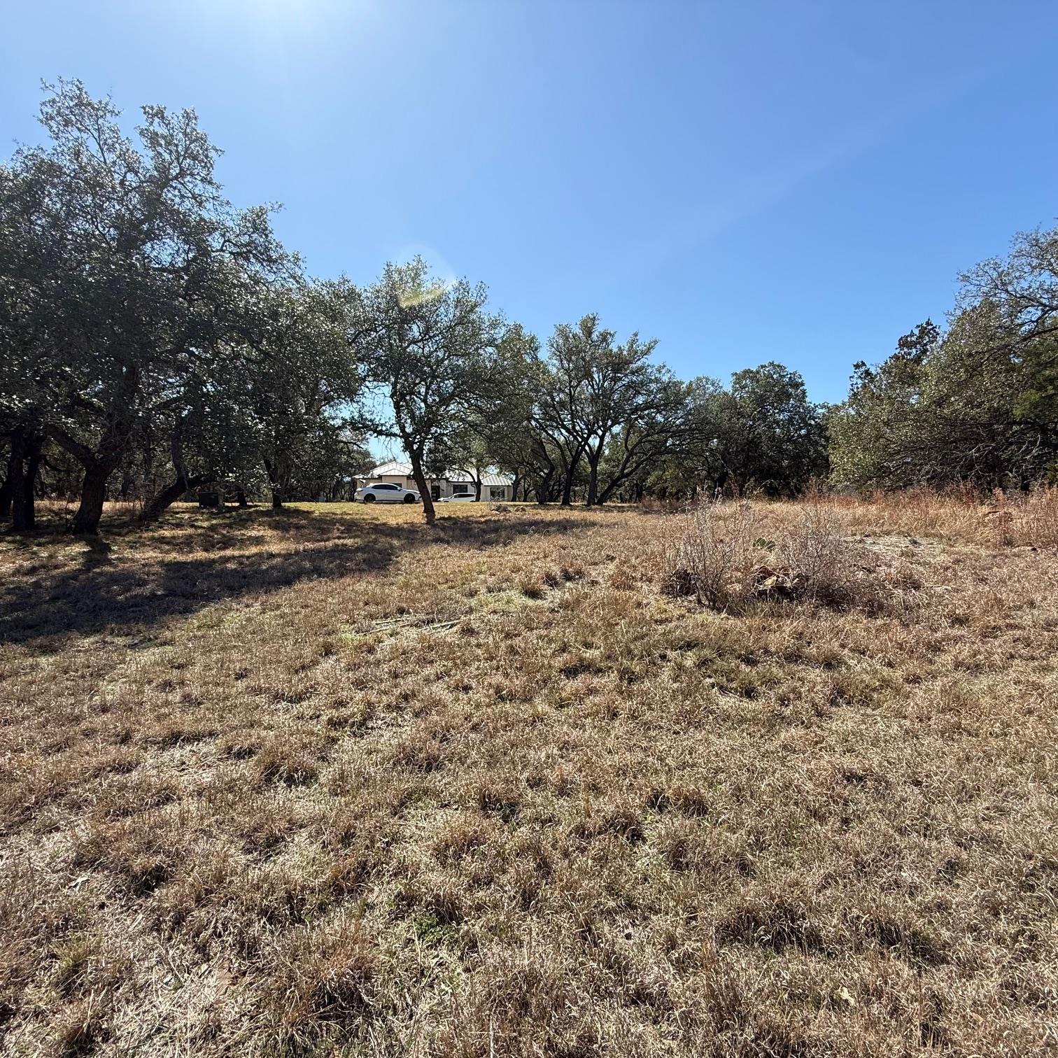 210 Cactus COR — photo 4