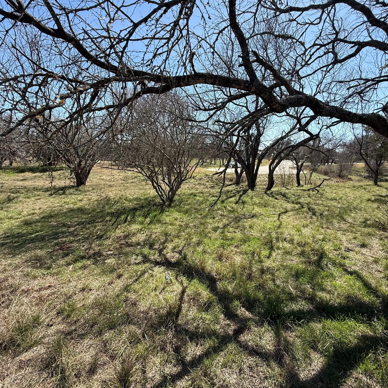 808 Sky LN — photo 5
