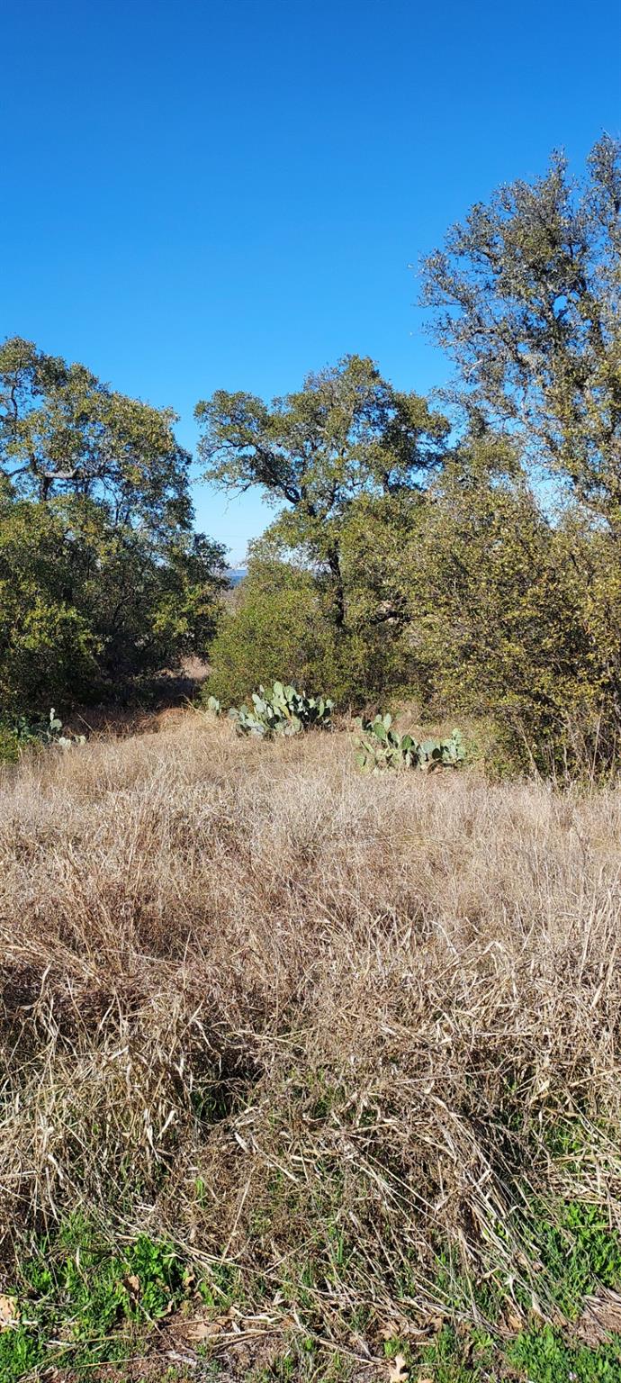 Lot 50 Pristine PASS — photo 4